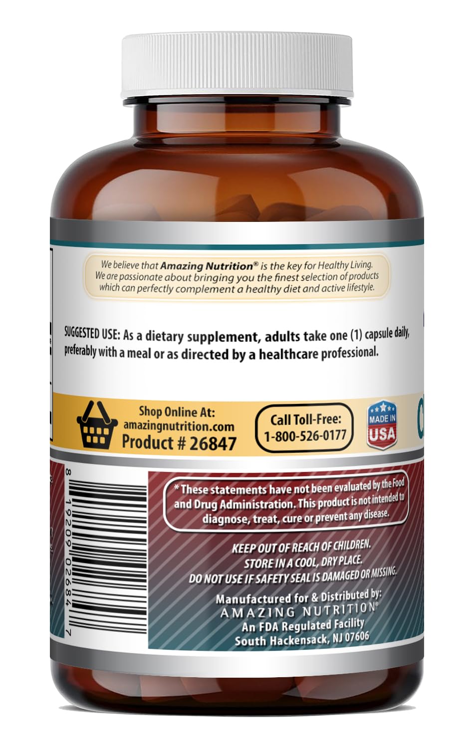 Amazing Nutrition Choline & Inositol 500 Mg Supplement 100 Capsules