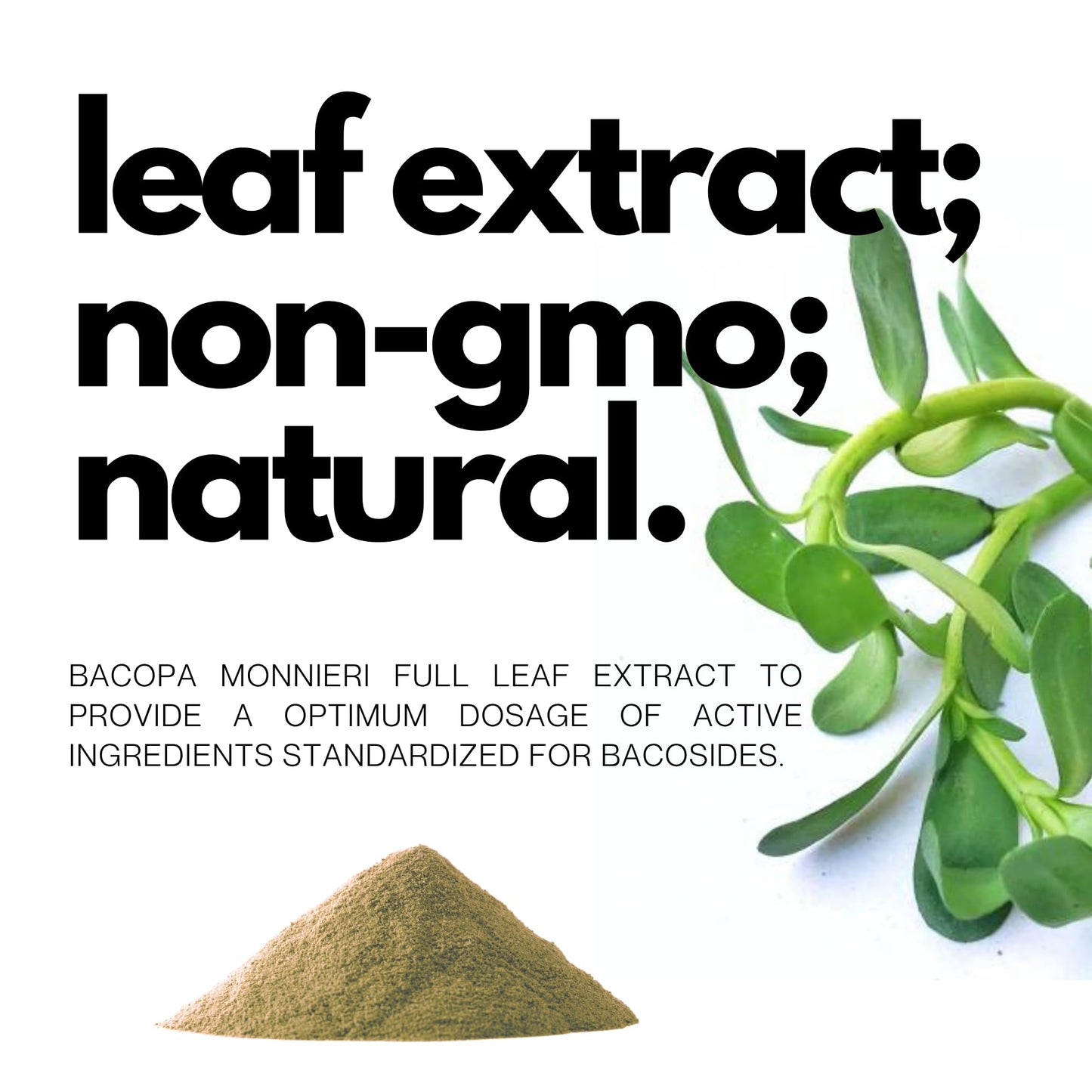 FOLIUS LABS Bacopa Monnieri Capsules 750mg – 120 Capsules