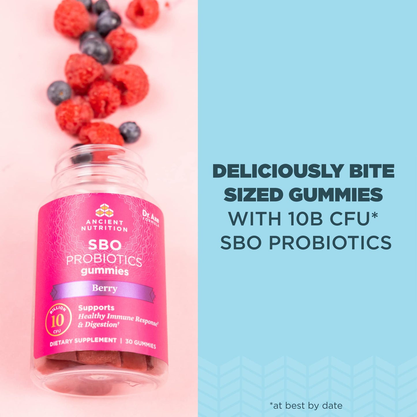 Ancient Nutrition Probiotics SBO Probiotics Berry Gummies 60 Count