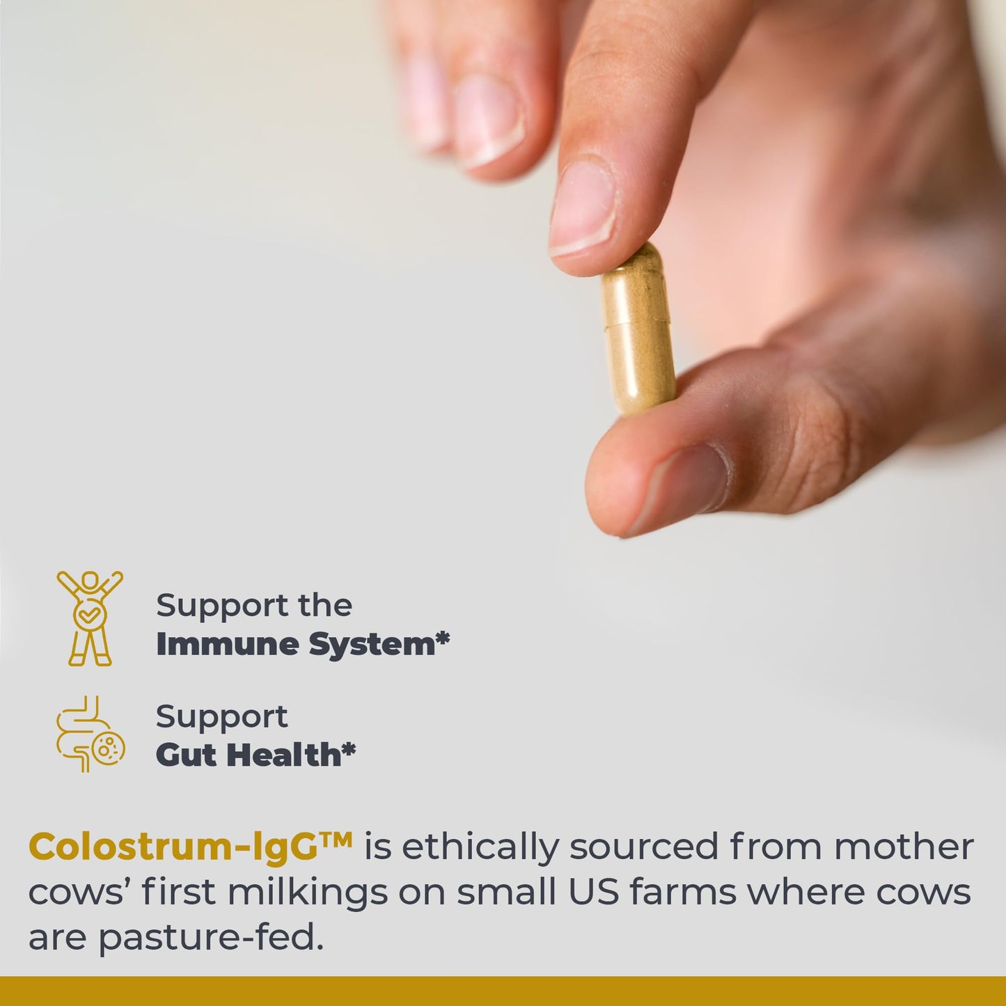 Premier Research Labs Colostrum-IgG Colostrum Supplement Grass Fed Bovine Colostrum for Humans, Immune Support & Gut Health Superfood with Lactoferrin, Amino Acids, Nucleotides, 90 Capsules
