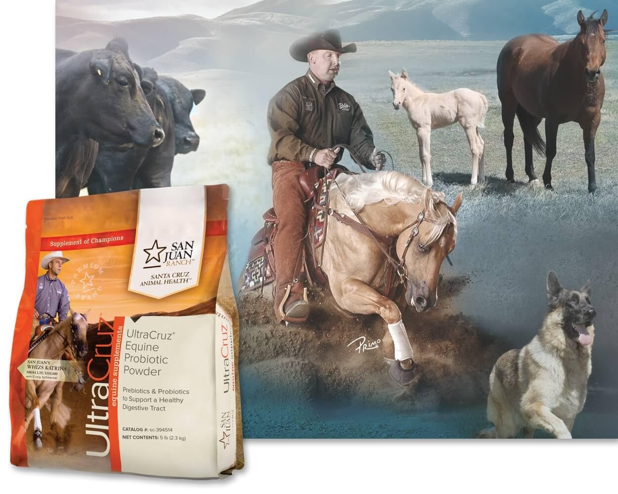 UltraCruz Equine Probiotic Powder 5 lb