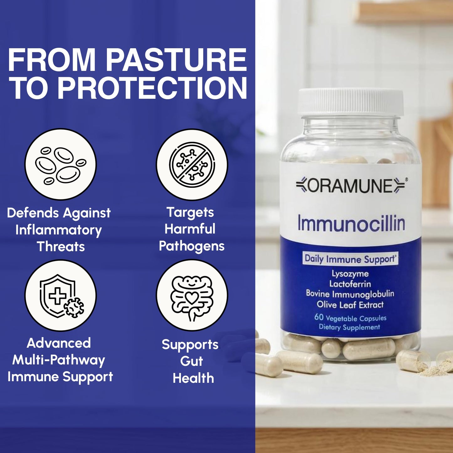 Oramune ImmunoCillin Immune Support Supplement with Lactoferrin, Lysozyme, Bovine Immunoglobulin & Olive Leaf Extract 60 CAPSULES