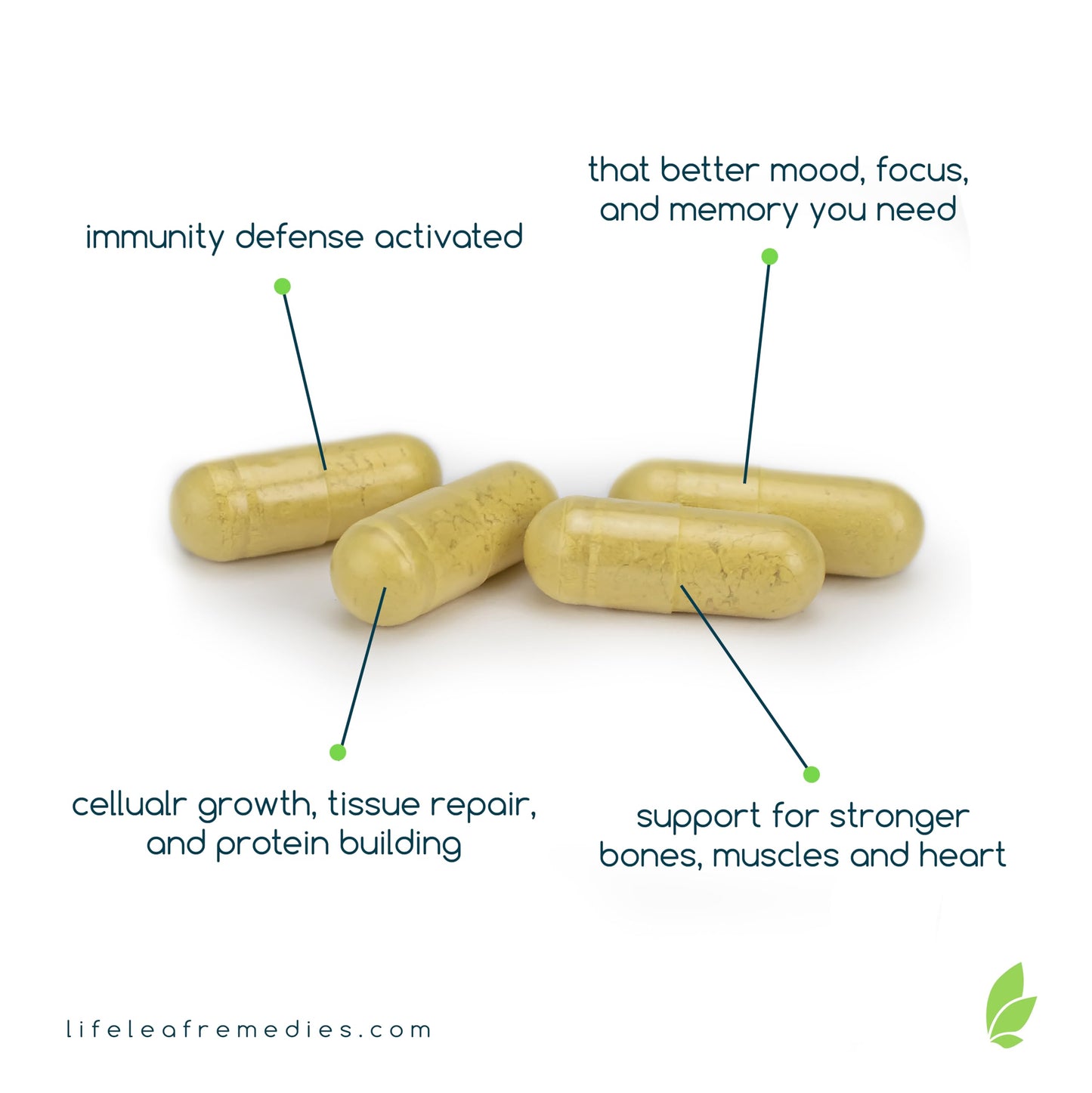 Life Leaf Remedies Immune System Boosters for Adults Immunity Support Capsules, 60 Count