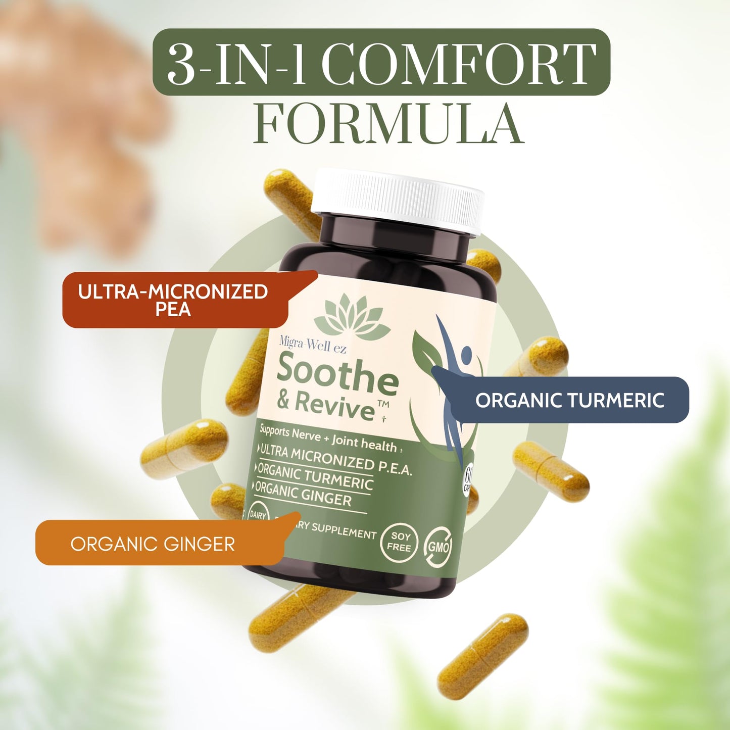 Wellkasa Soothe & Revive Ultra-Micronized PEA (Palmitoylethanolamide) 600mg with Organic Turmeric & Ginger, Nerve Support & Joint Health Supplement for Men & Women, Non-GMO, Gluten-Free, 60 Capsules