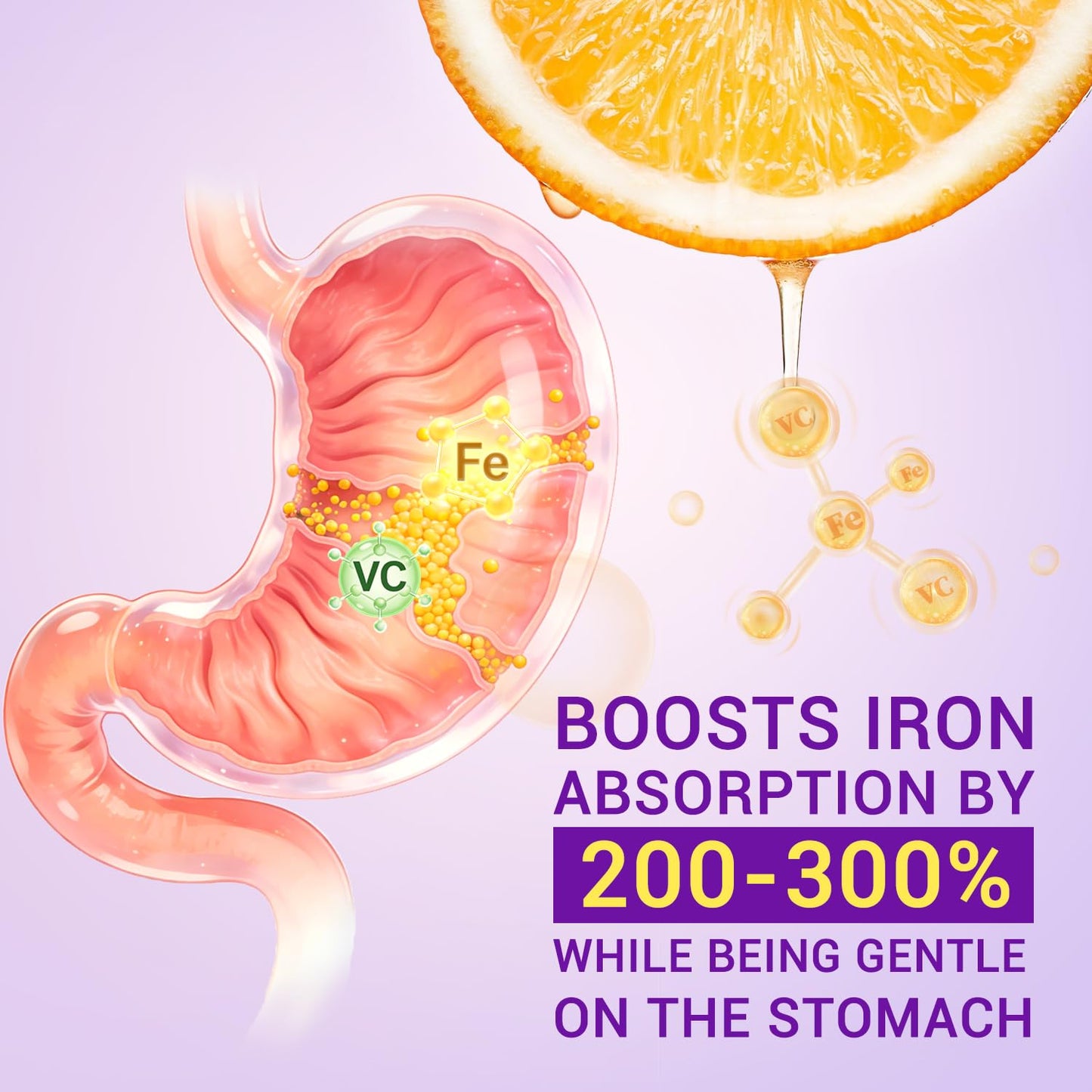 Heivy Iron Supplement Ferrous Sulfate 325mg with Vitamin C Tablet 240 Count