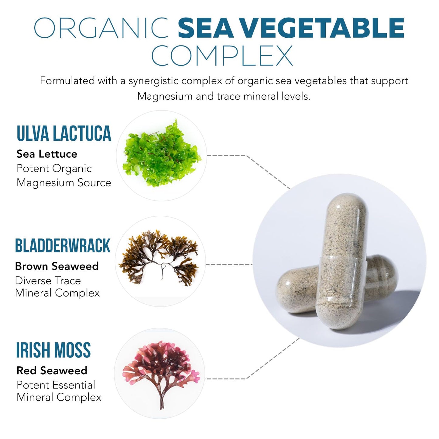 Triquetra Health Organic Whole Food Magnesium Supplement Capsule, 60 Count