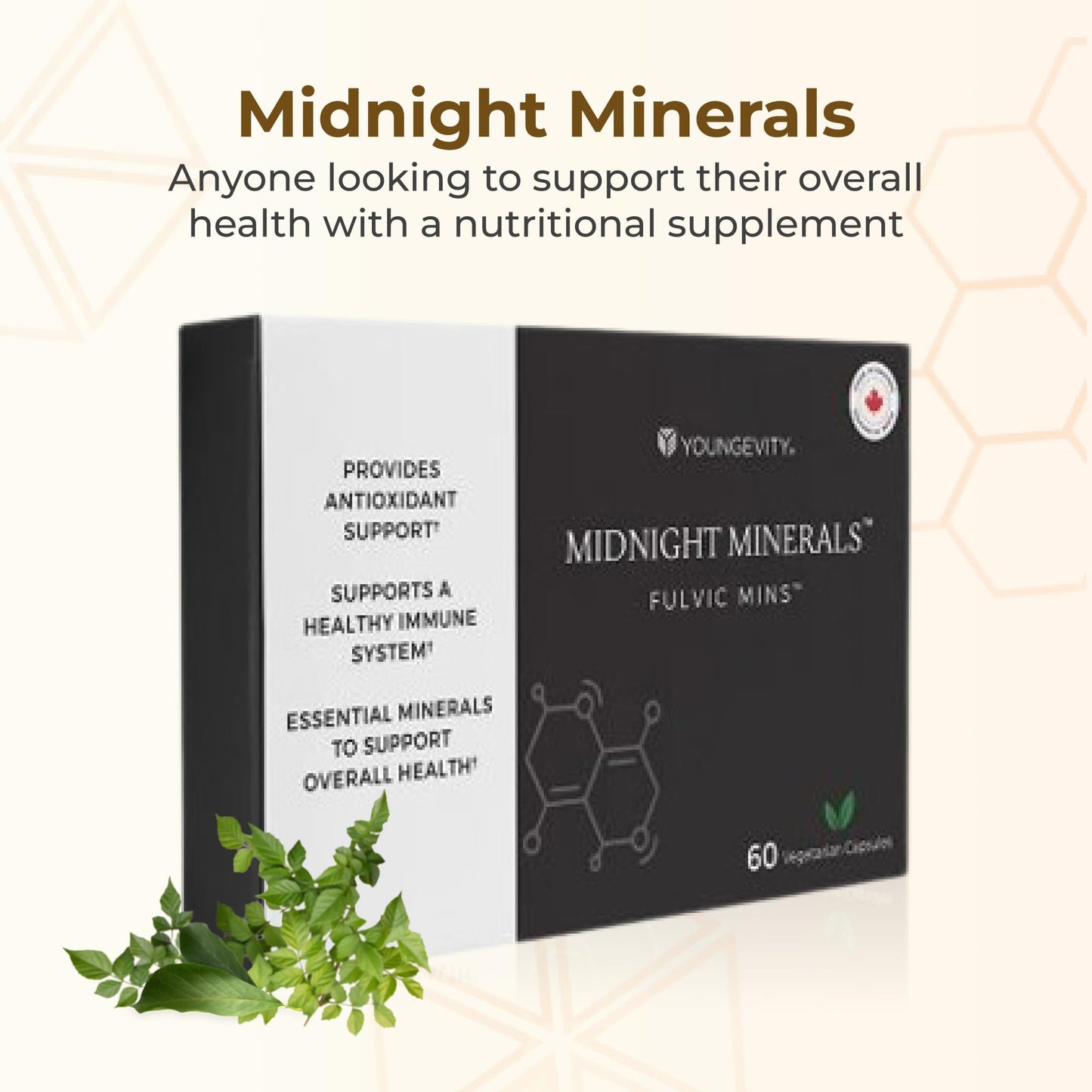Youngevity Midnight Minerals Fulvic Mins Capsule 60 Count