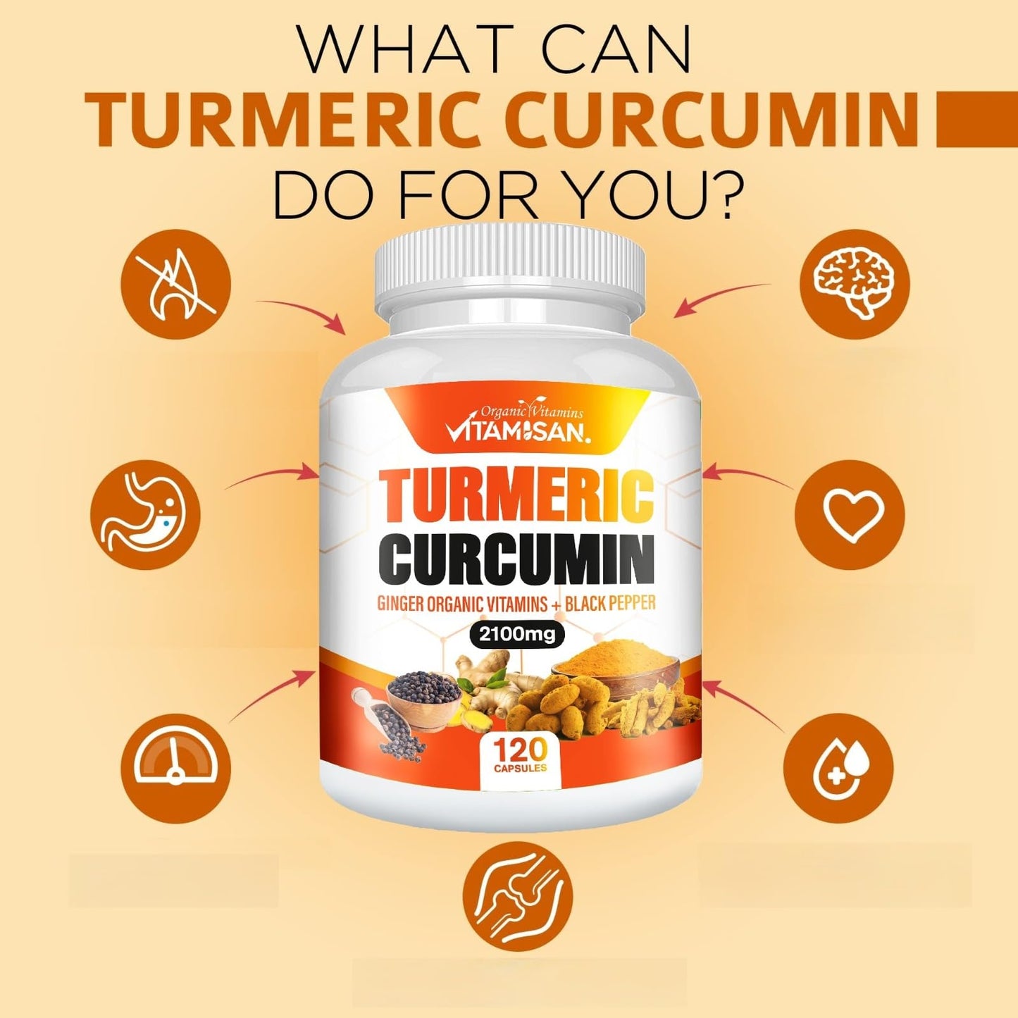 VITAMISAN Turmeric Curcumin 95% Curcuminoids with Ginger & Black Pepper 2100 mg, 120 Capsules