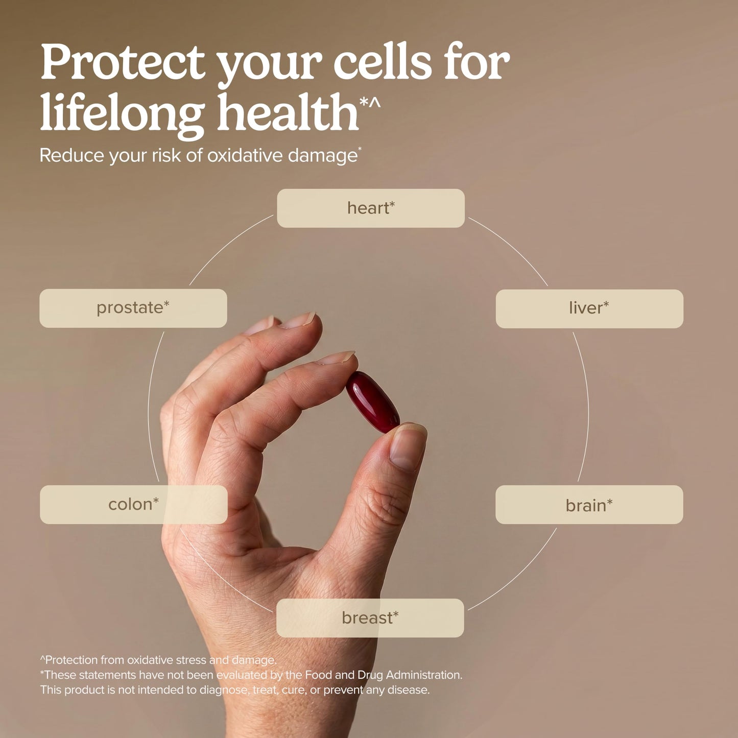 Terry Naturally CuraMed + OPC Softgels 120