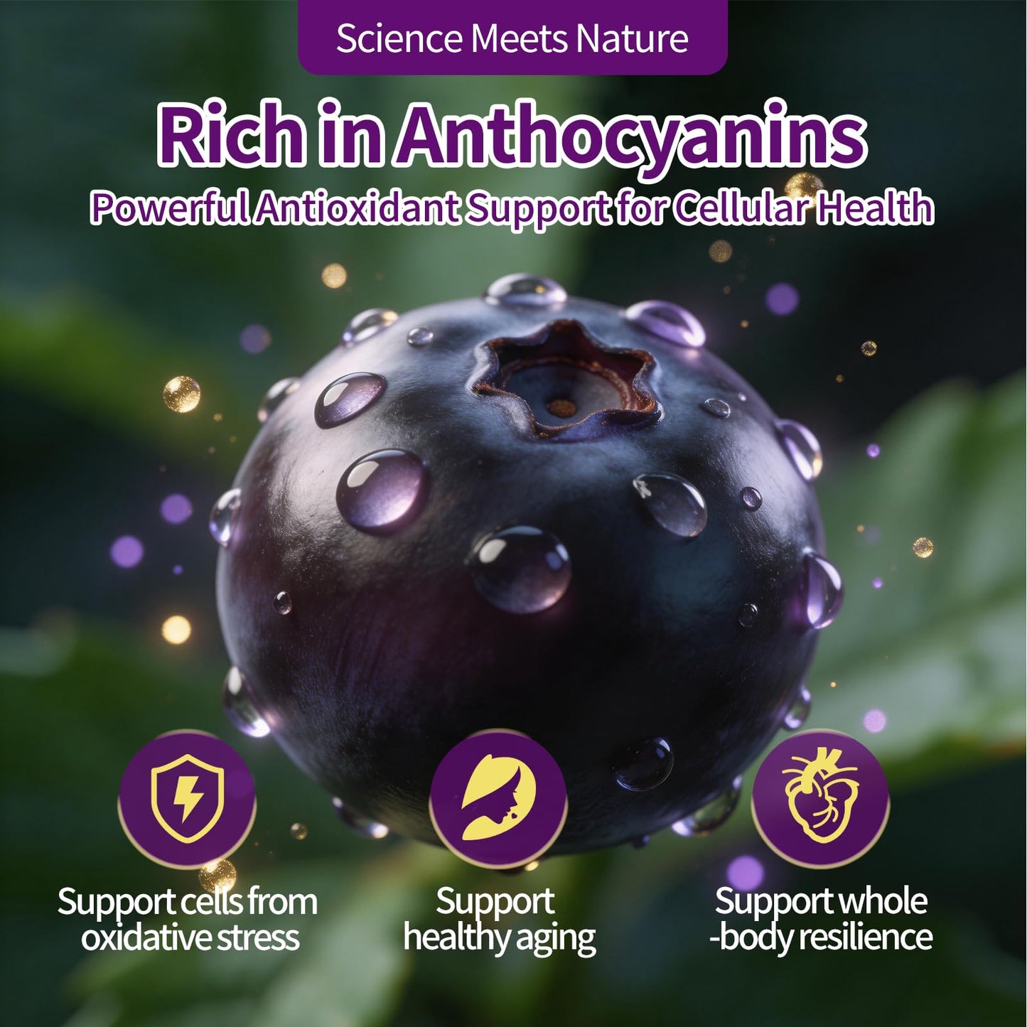 AAGUMMM Organic Black Elderberry Capsules, 90 Capsules