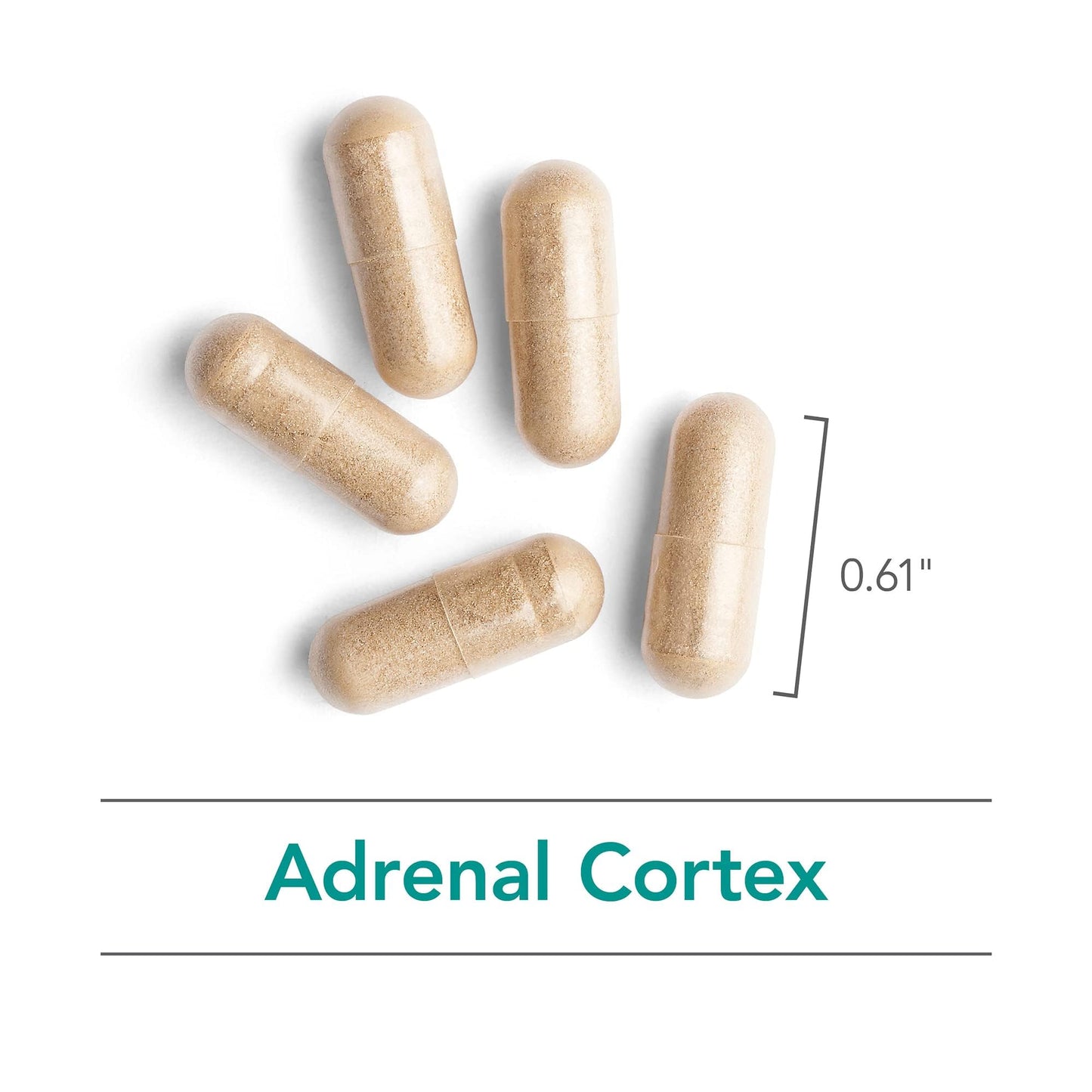 Allergy Research Group Adrenal Support Supplement for Men & Women Capsule 100 Count