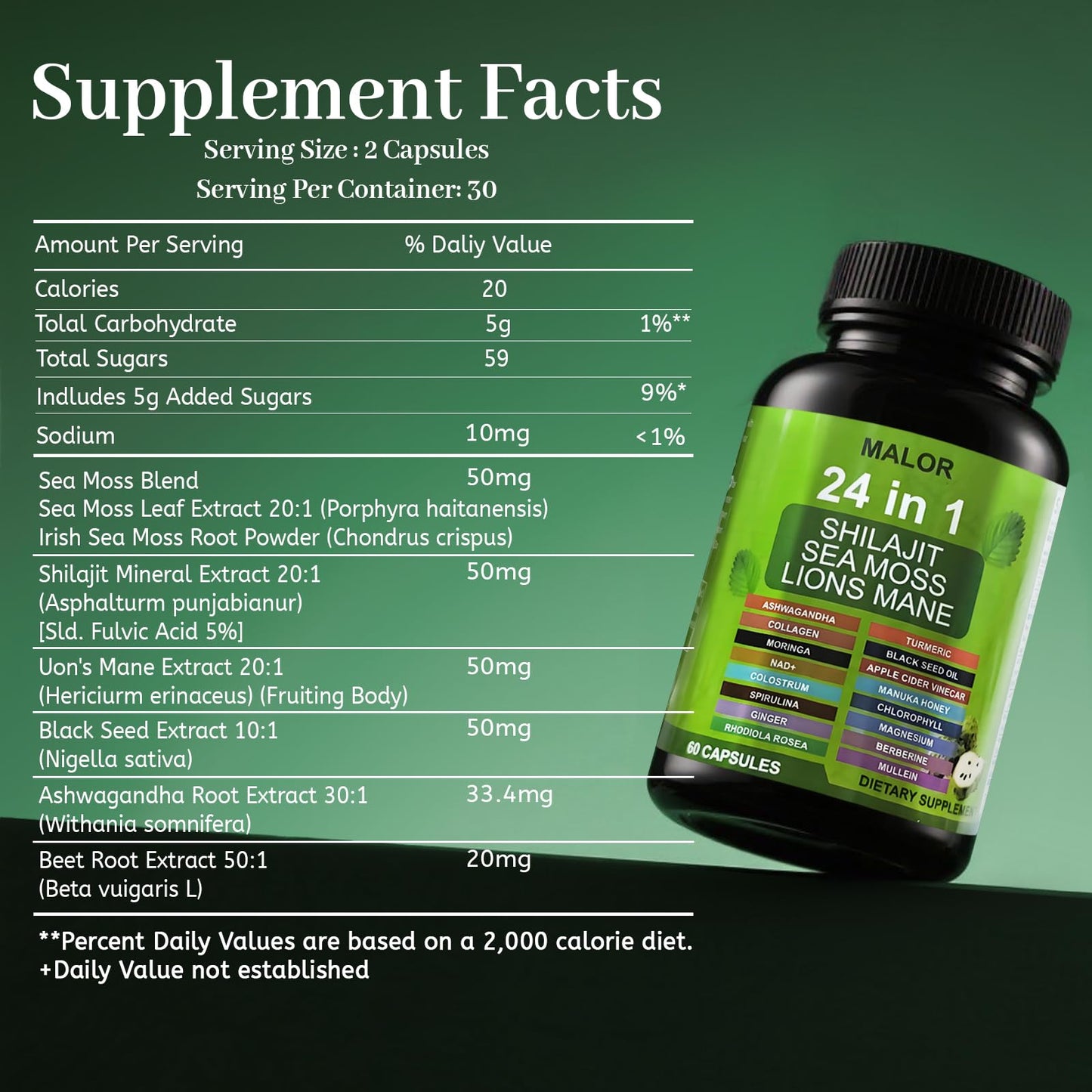 BENIX 24 in 1 Soursop Graviola Capsules, 60 Capsules