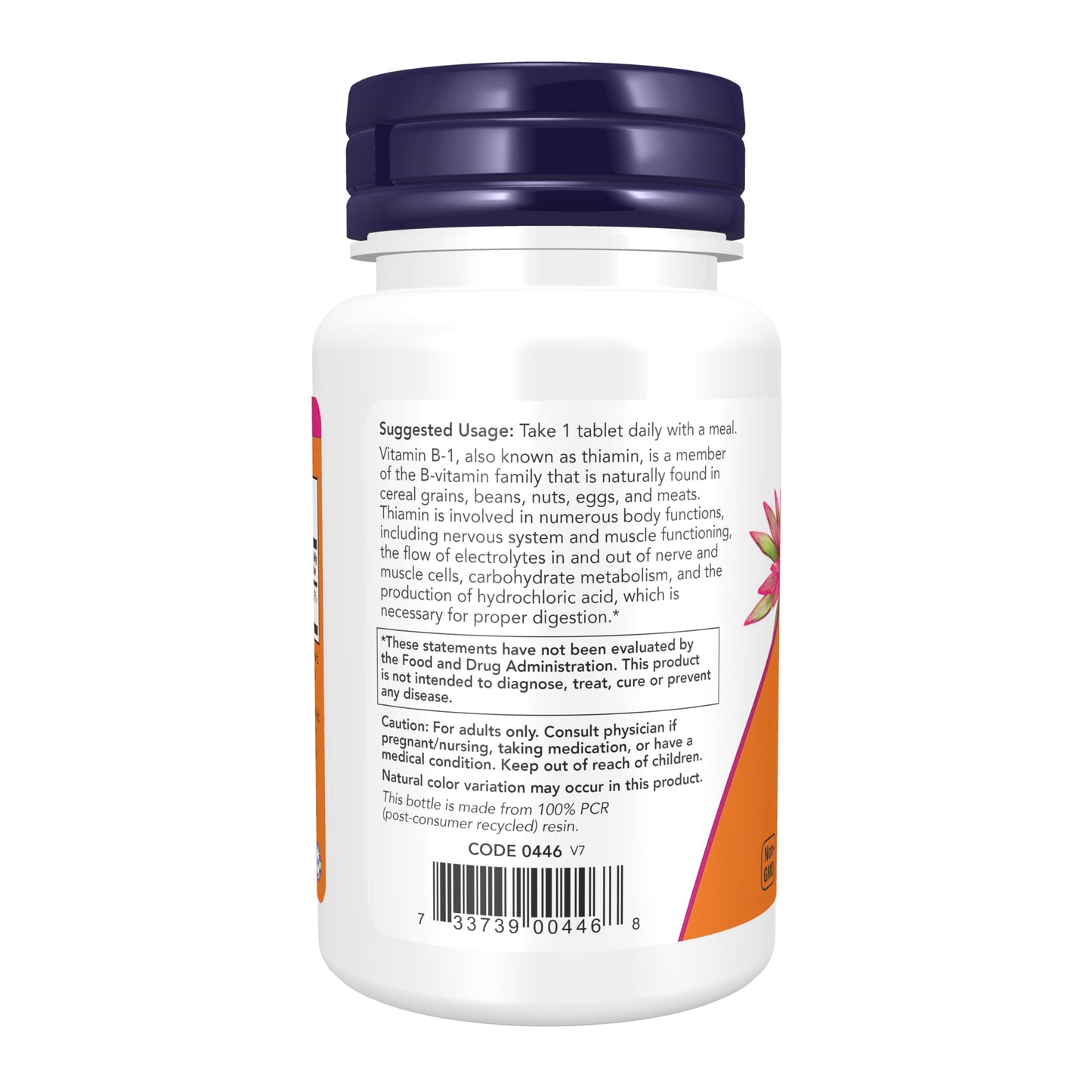 NOW Foods Vitamin B-1 Thiamine 100 mg Tablet, 100 Count