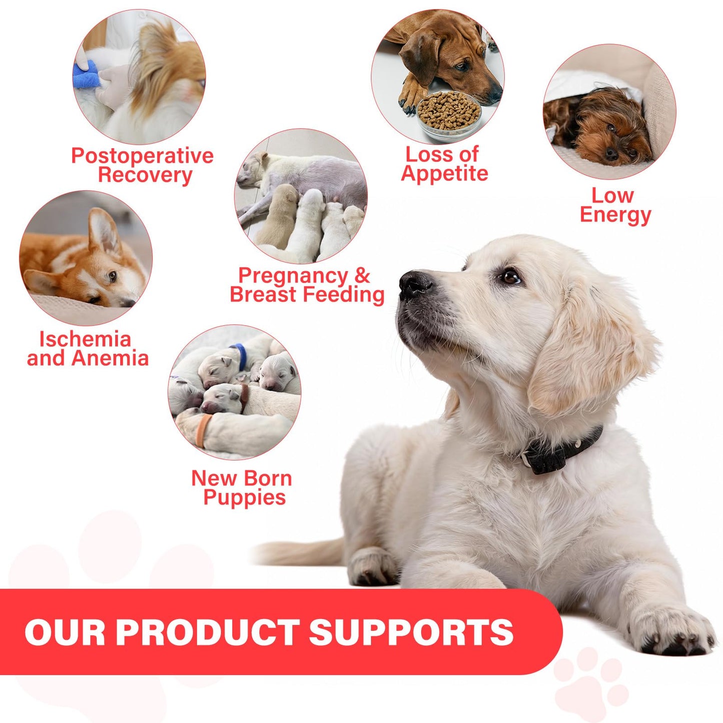 VivaElixir Iron Supplement for Dogs, 120 Tablets