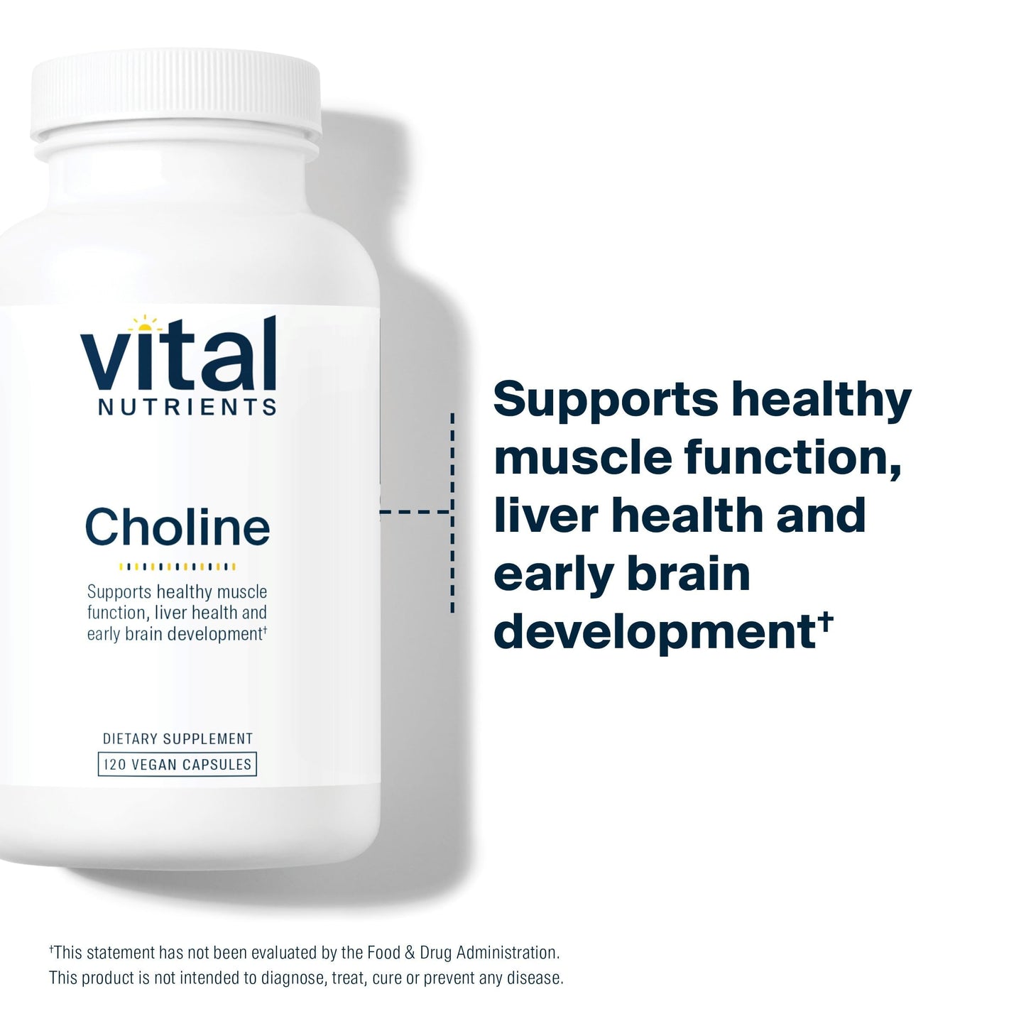 Vital Nutrients Choline 550mg Capsules 120 Count
