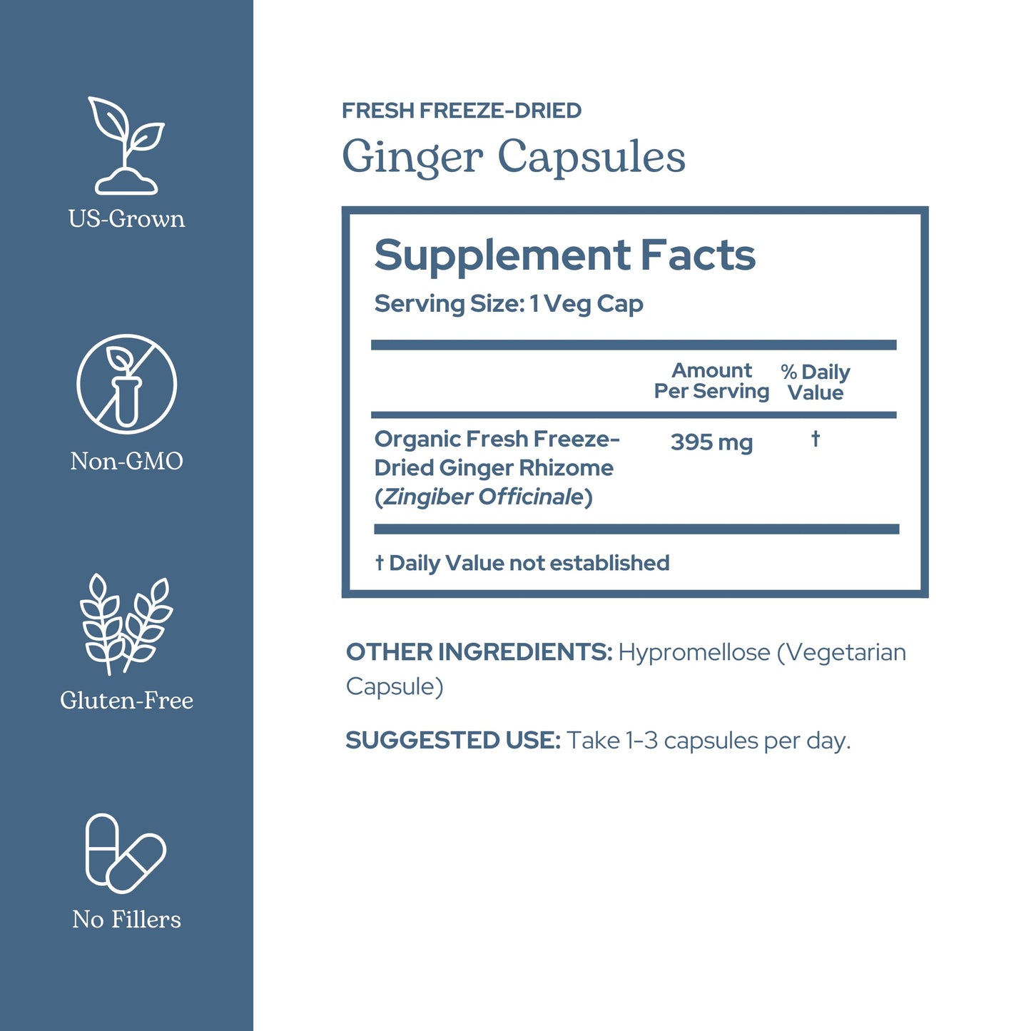 Eclectic Institute Ginger 395 mg Capsule, 50 Count