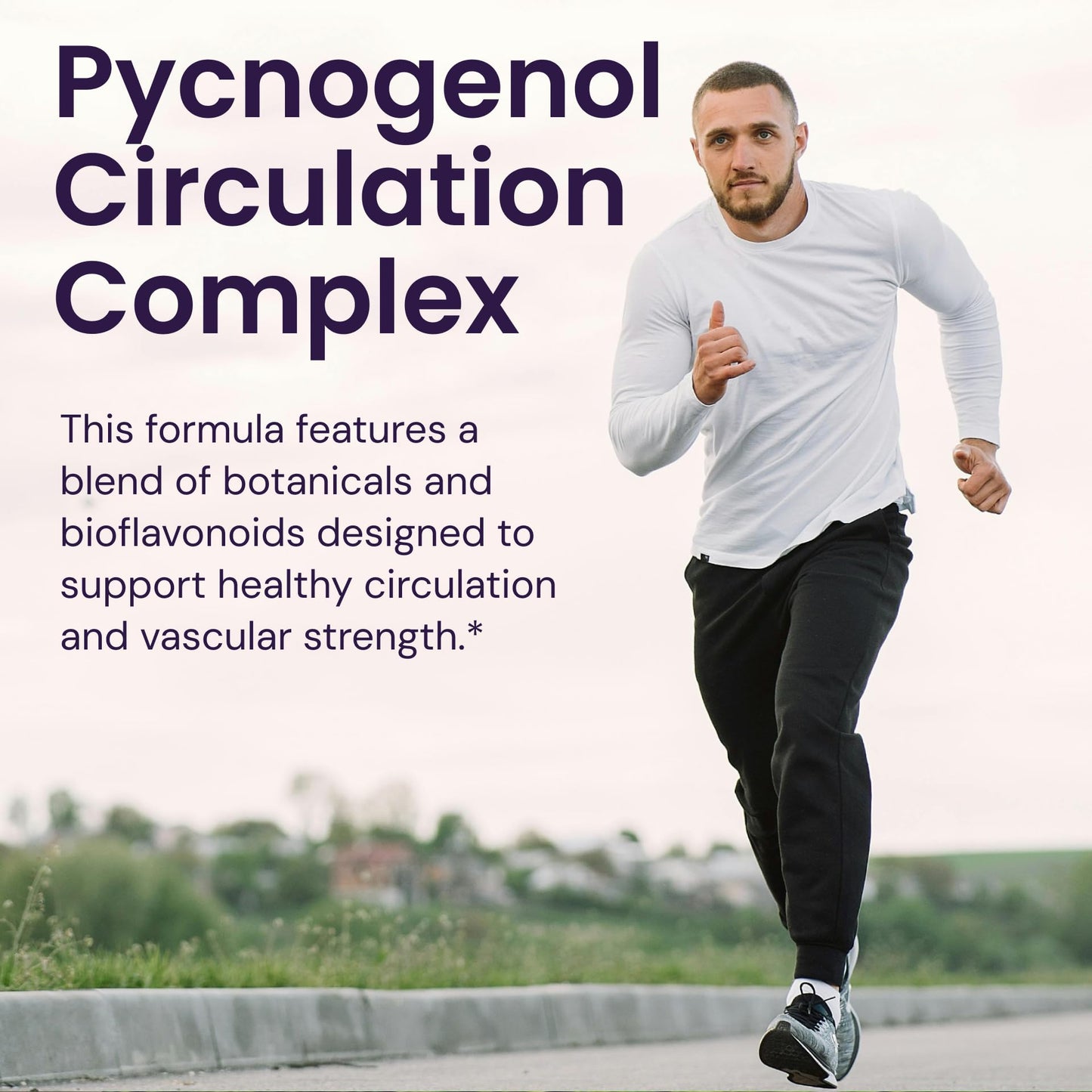 Healthy Origins Pycnogenol Circulation Complex Capsules, 60 Count