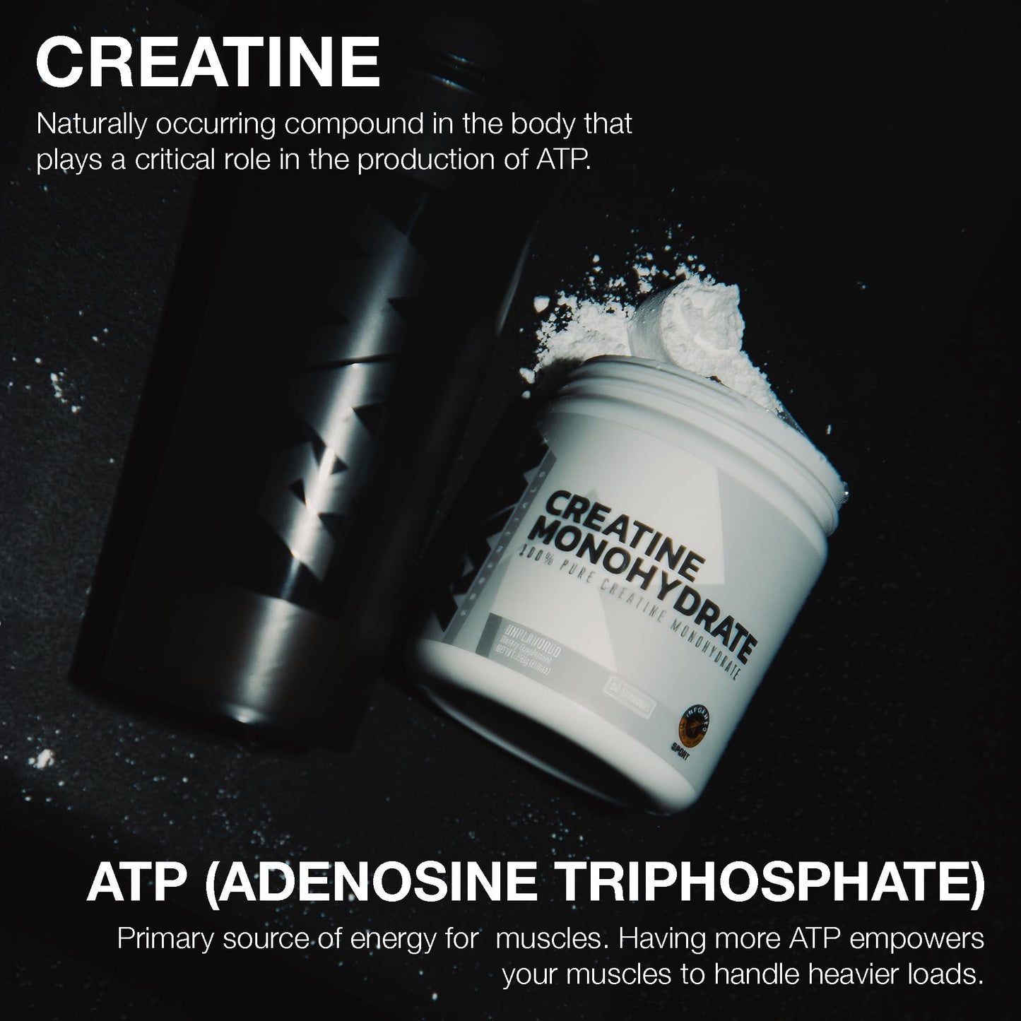 RAW Creatine Monohydrate Powder 8.81 oz