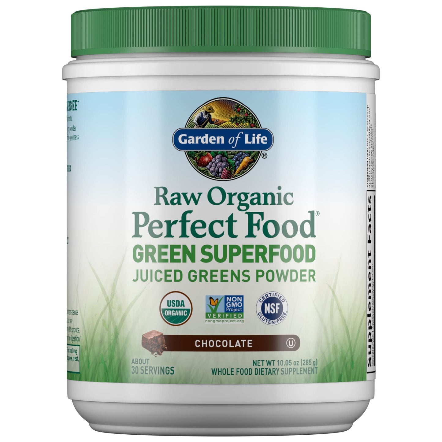 Garden of Life Raw Organic Perfect Food Green Superfood Juiced Greens Powder - Chocolate, 30 Servings