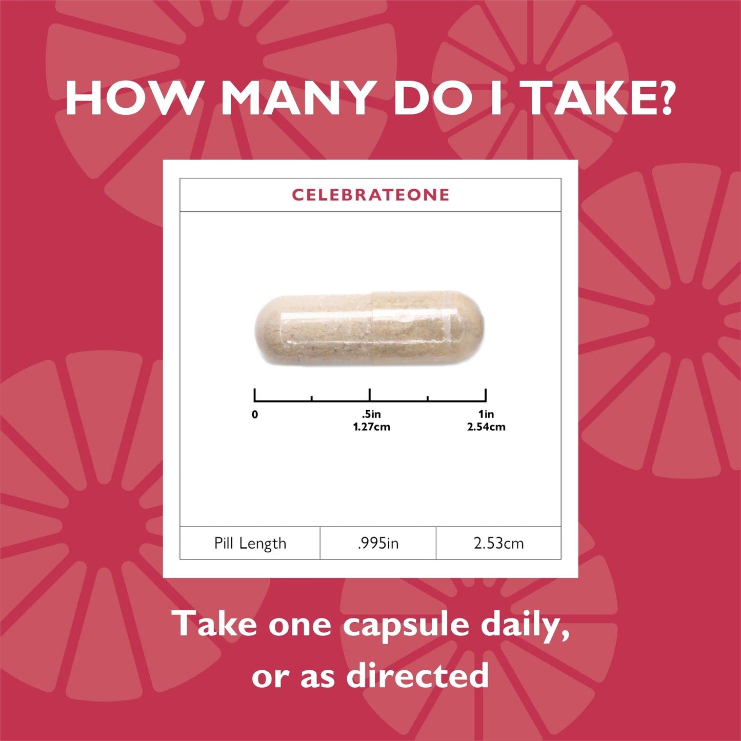 Celebrate Bariatric Supplements CelebrateONE Iron Free Once Daily Bariatric Multivitamin, 90 Capsules
