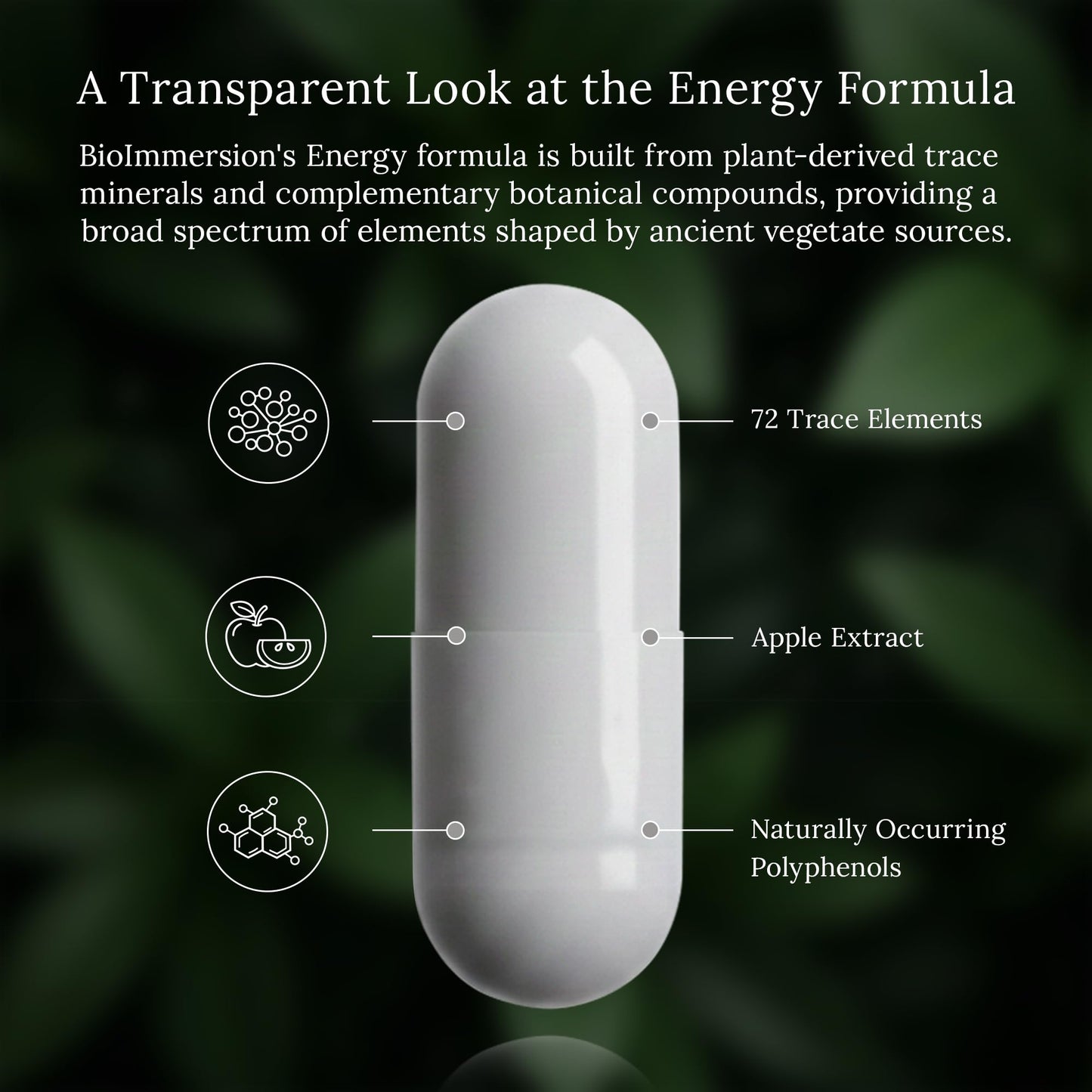 BioImmersion Vitality Extract Capsule 60 Capsules