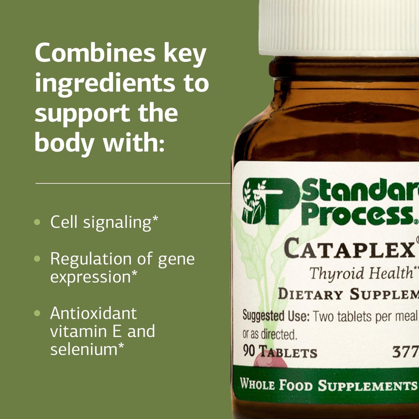 Standard Process Cataplex E Tablet - Thyroid Health Support with Antioxidant Vitamin E & Selenium - Endocrine Gland Health Support - Gluten-Free, Non-Dairy & Non-Soy, 90 Tablets