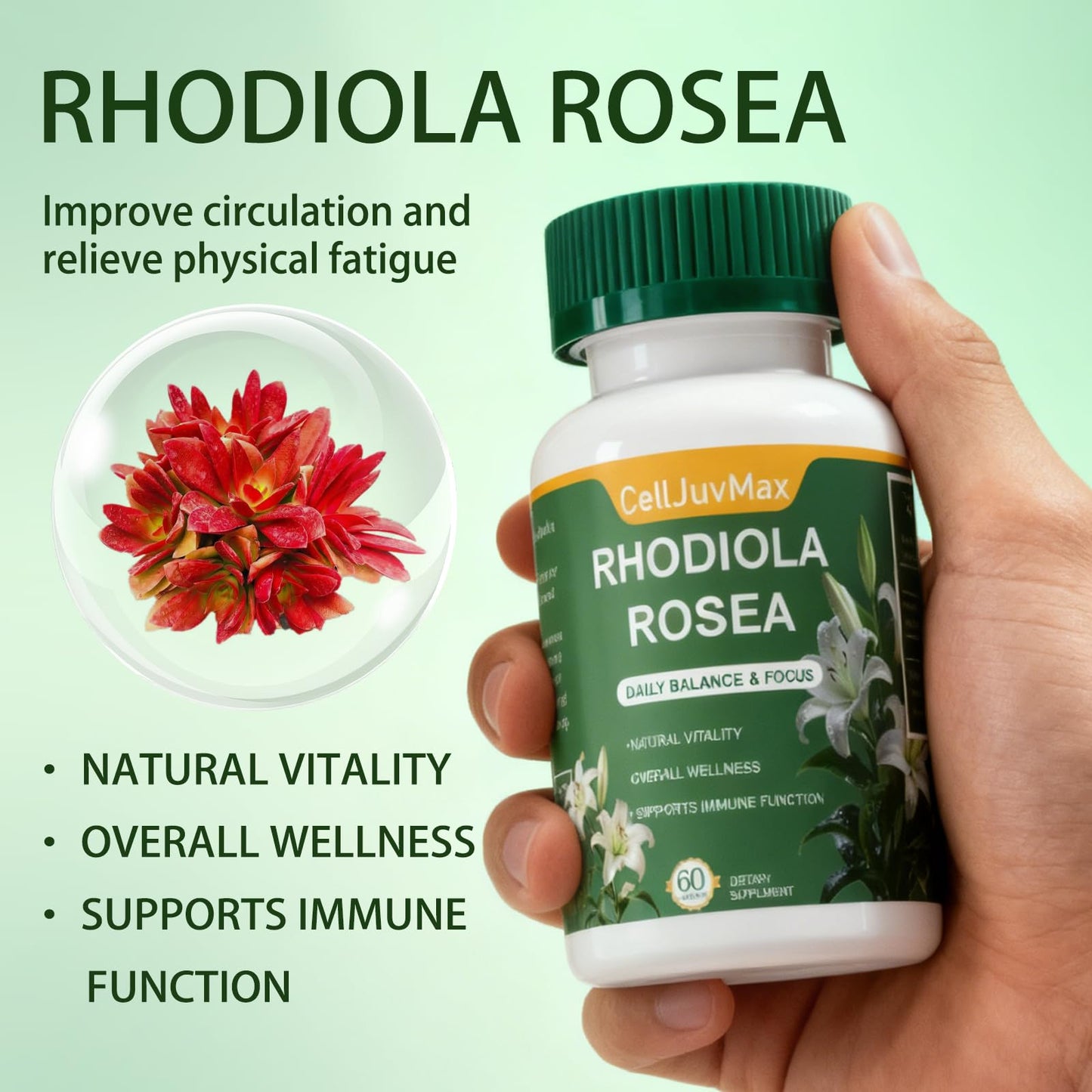 CellJuvMax Rhodiola Rosea 600mg Capsules, 60 Count