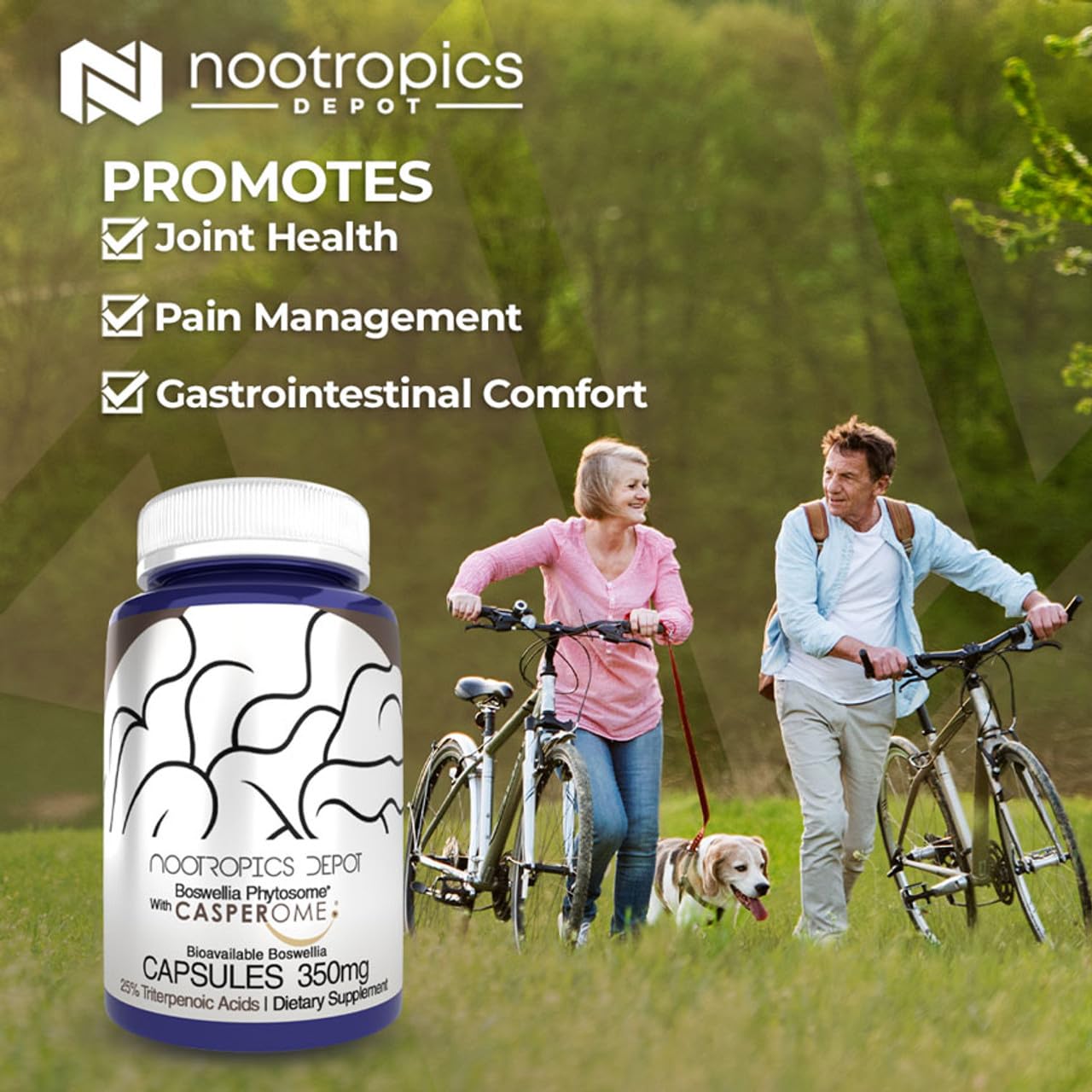 Nootropics Depot Boswellia Phytosome Capsules 350mg Casperome 25% Triterpenoic Acids Boswellia serrata Frankincense Joint Health, 30 Capsules