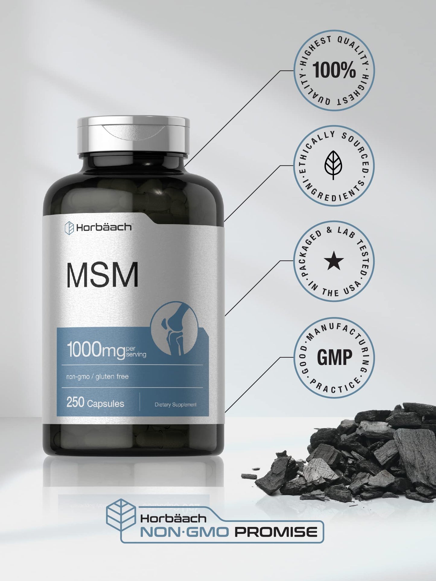 Horbäach MSM Supplement Capsules 250 Count