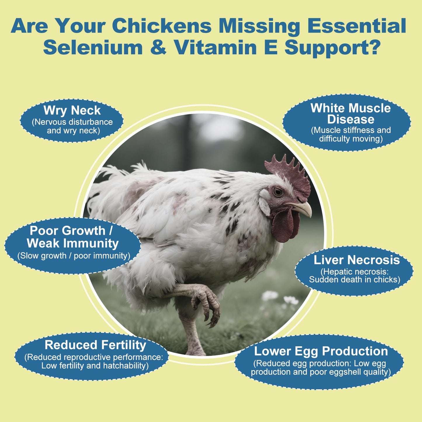 BiKontrun Selenium & Vitamin E Powder for Chickens, 1 Ounce (Pack of 1)