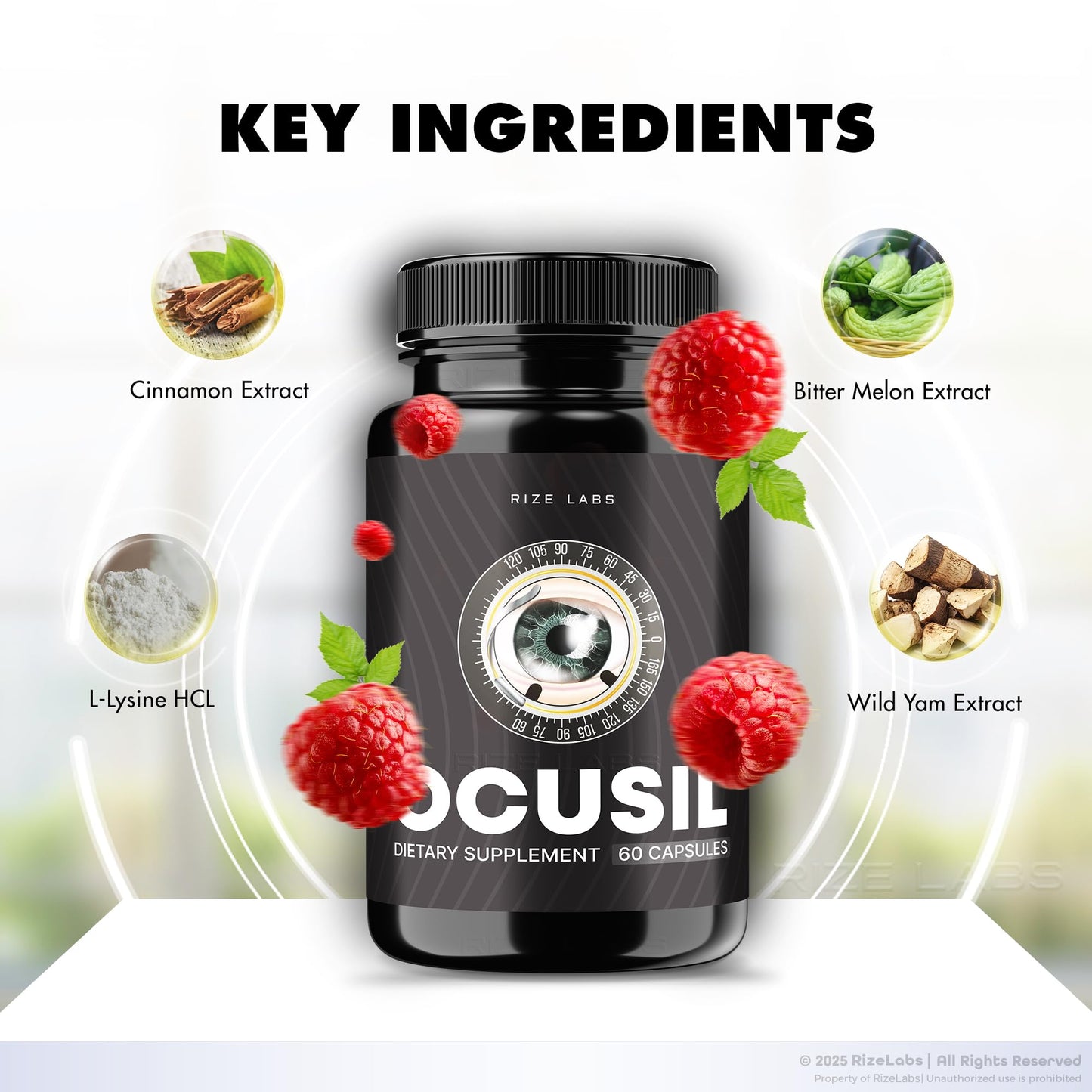 Rize Labs Ocusil Capsule 60 Count