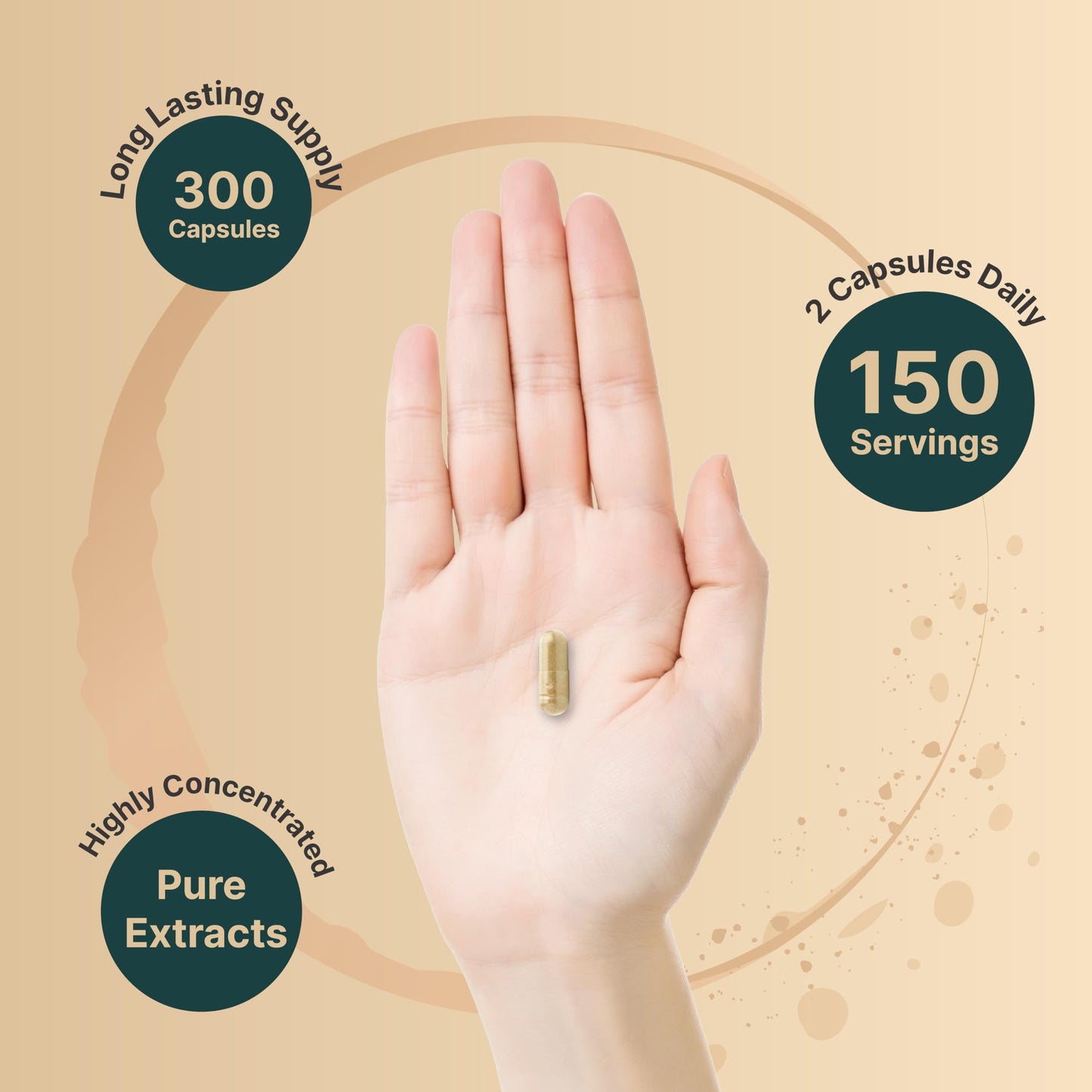 NatureBell Ginkgo Biloba with Panax Ginseng Capsules, 300 Count