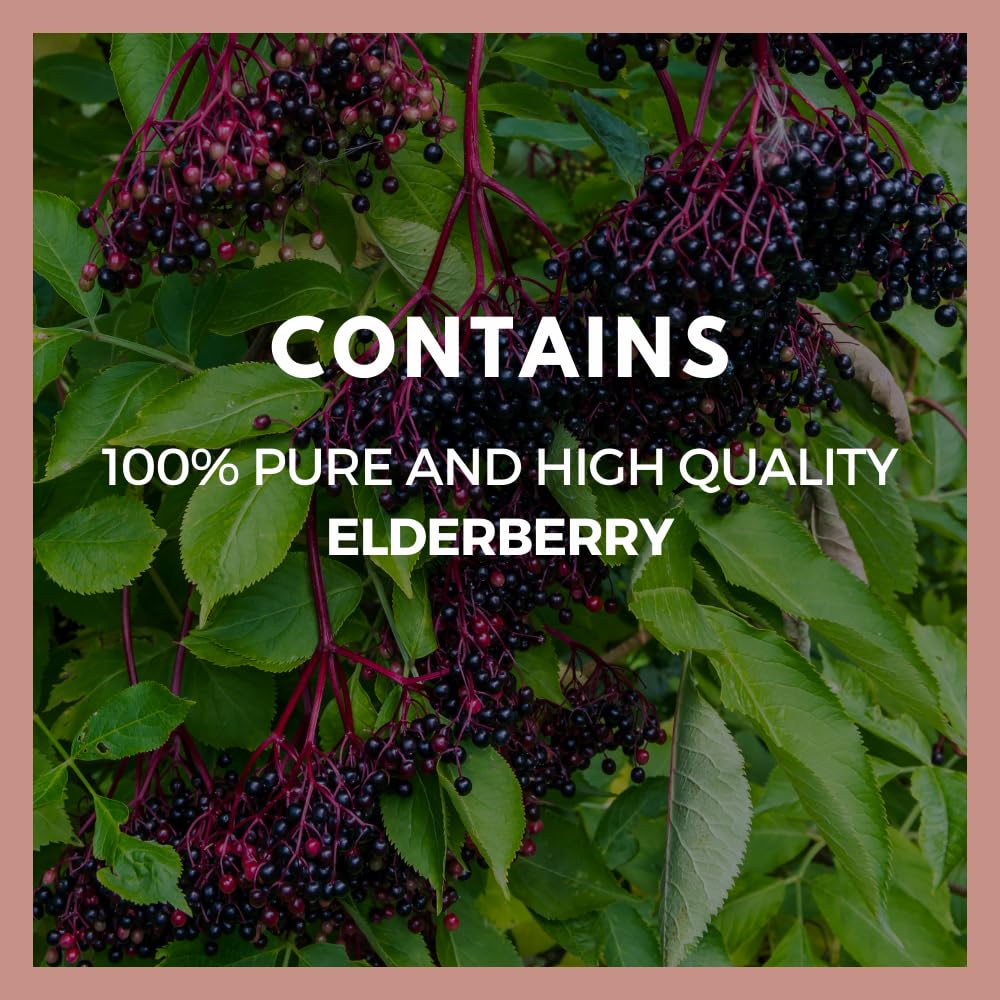 Remedy’s Nutrition Elderberry 1,000 mg Capsule, 60 Count
