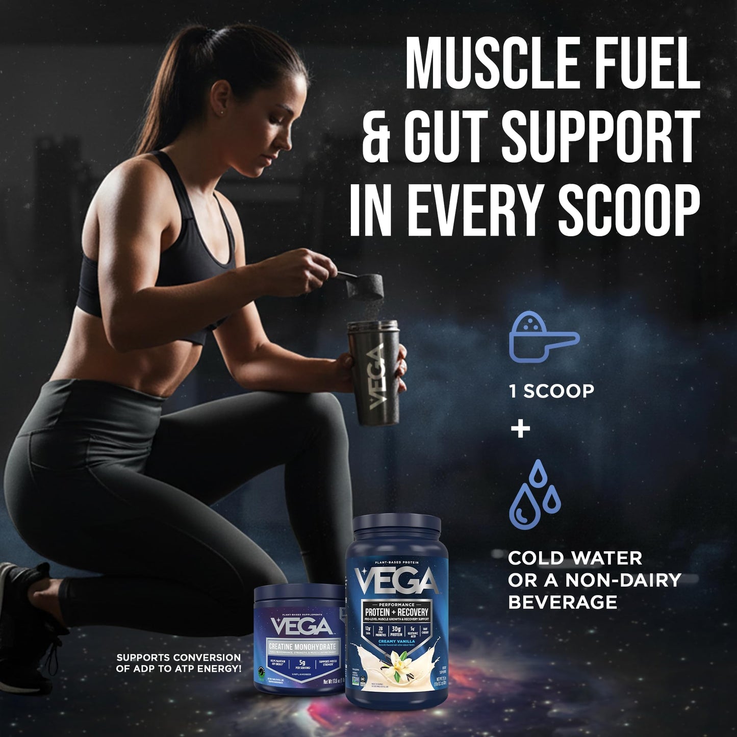 Vega Protein + Recovery Vanilla & Creatine Monohydrate Powder Bundle, Plant-Based Protein & Creatine Monohydrate Powder, 2.9 lb Total