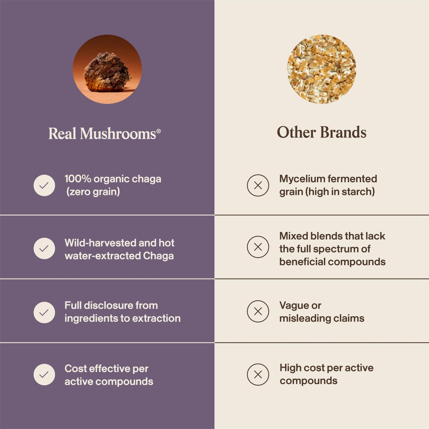 Real Mushrooms Chaga Mushroom Powder 2.12 oz