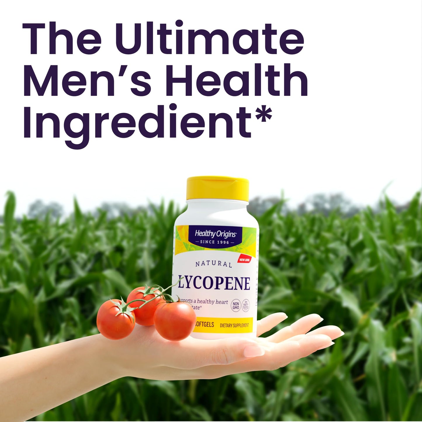 Healthy Origins Lycopene 15 mg Softgels, 180 Count