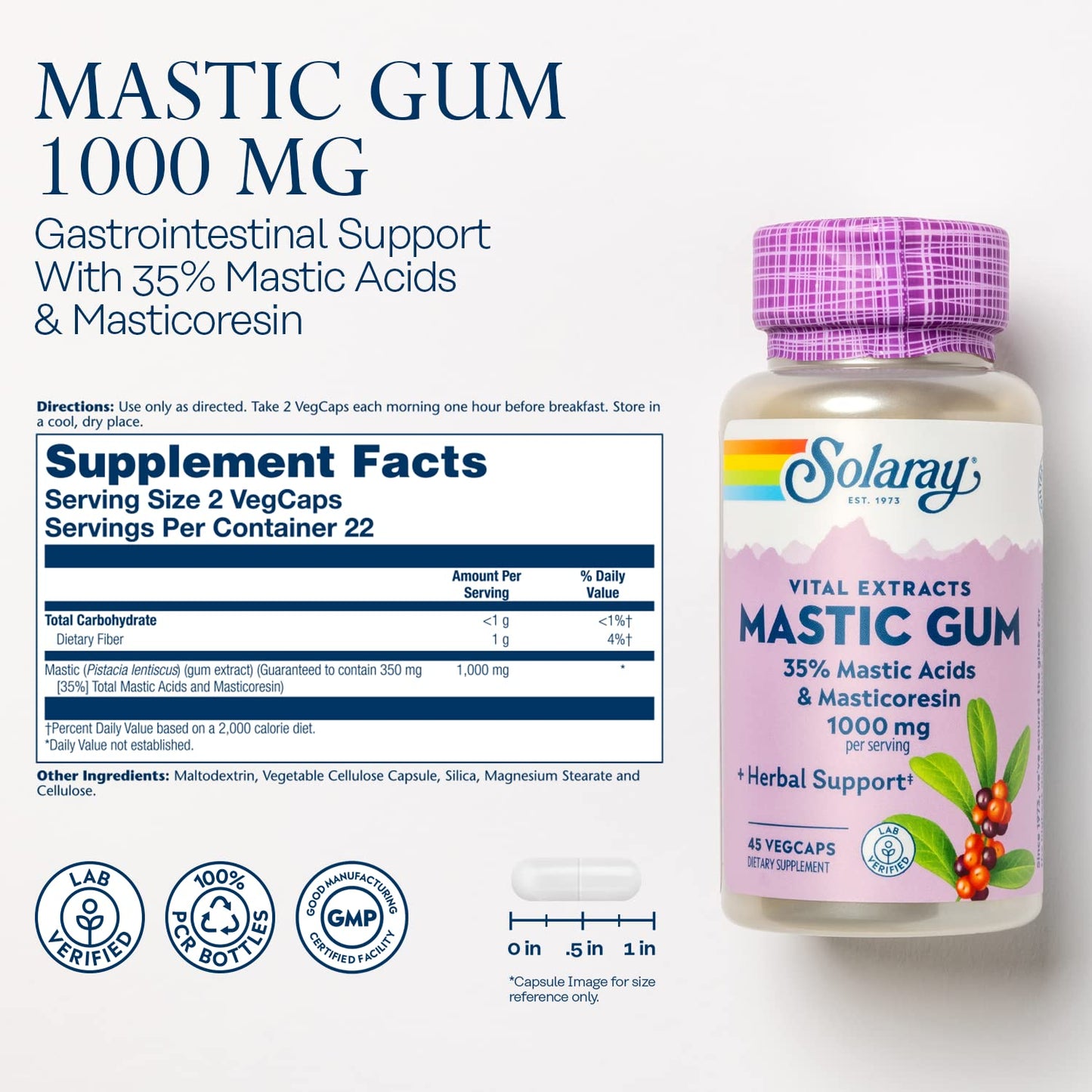 Solaray Mastic Gum Extract 500 mg Capsule, 45 Count