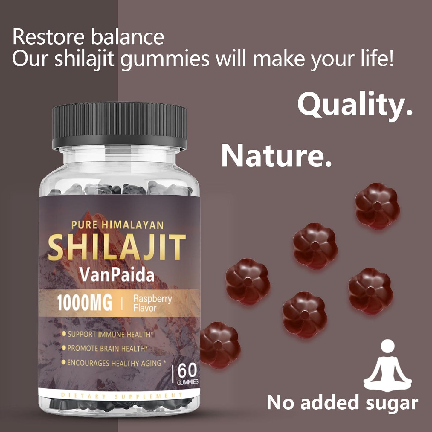 Van Paida Sugar Free Shilajit 60 Gummies