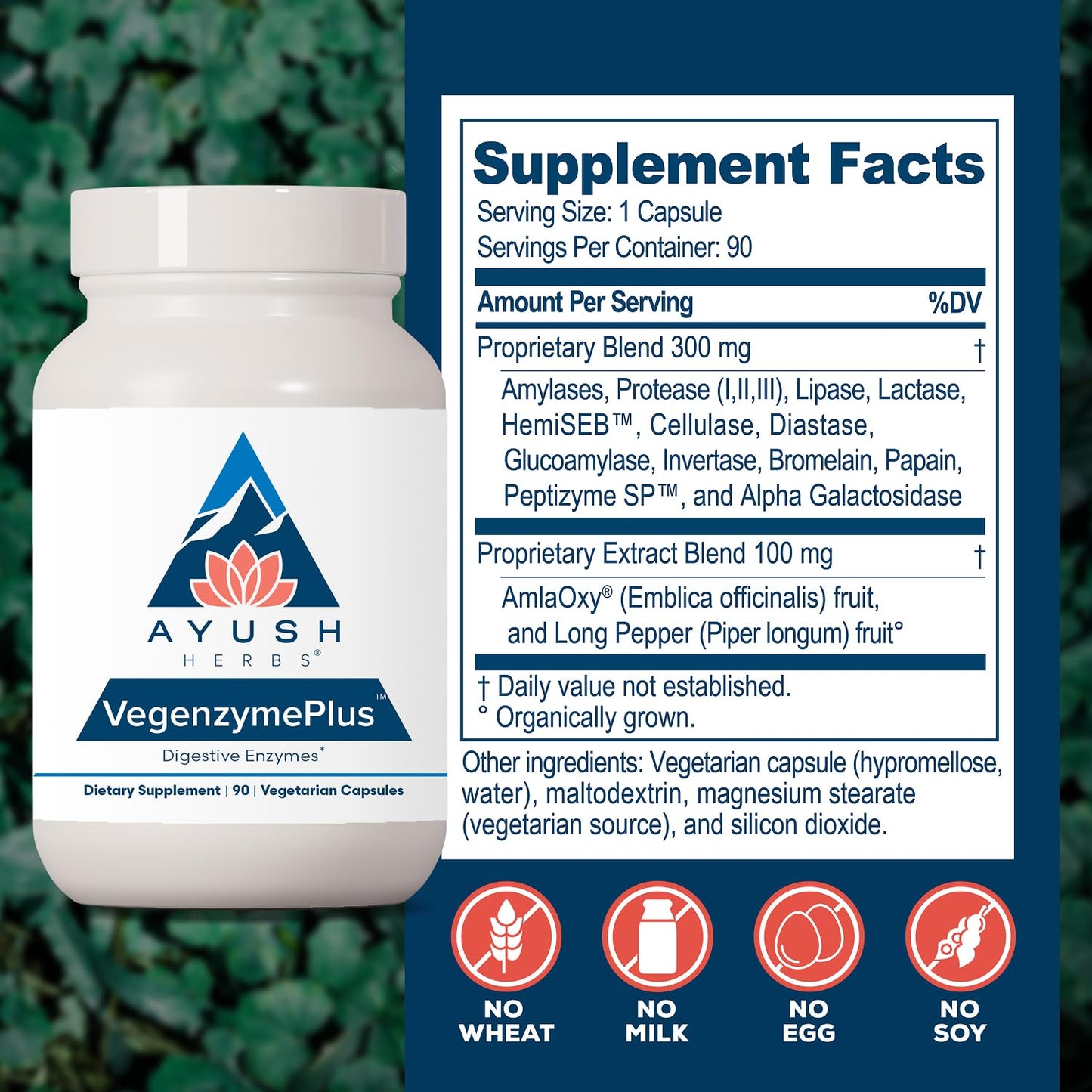 Ayush Herbs VegenzymePlus Digestive Enzymes for Women & Men Capsule 90 Count