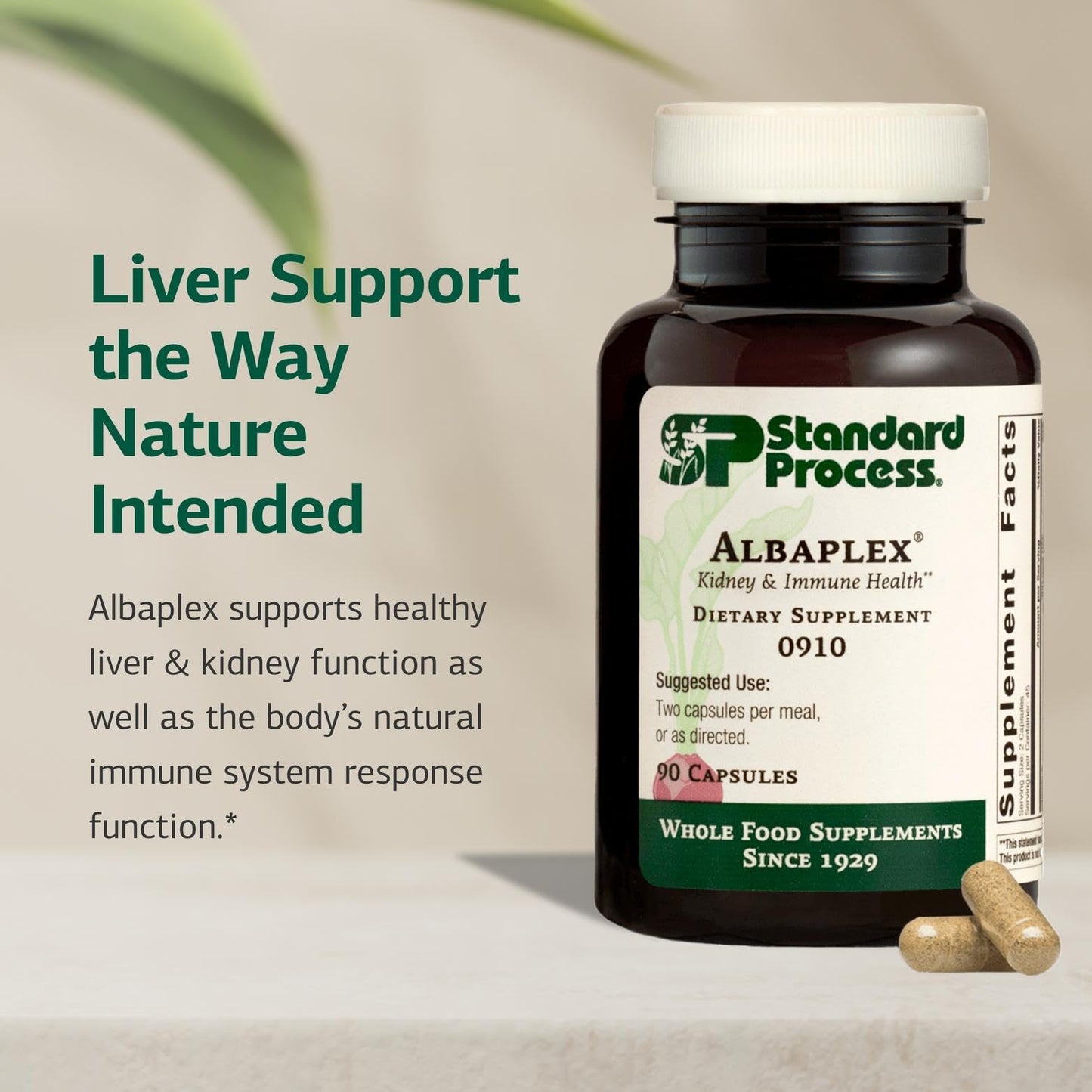 Standard Process Inc. Albaplex Liver & Immune Health Dietary Supplement Capsule, 90 Capsules