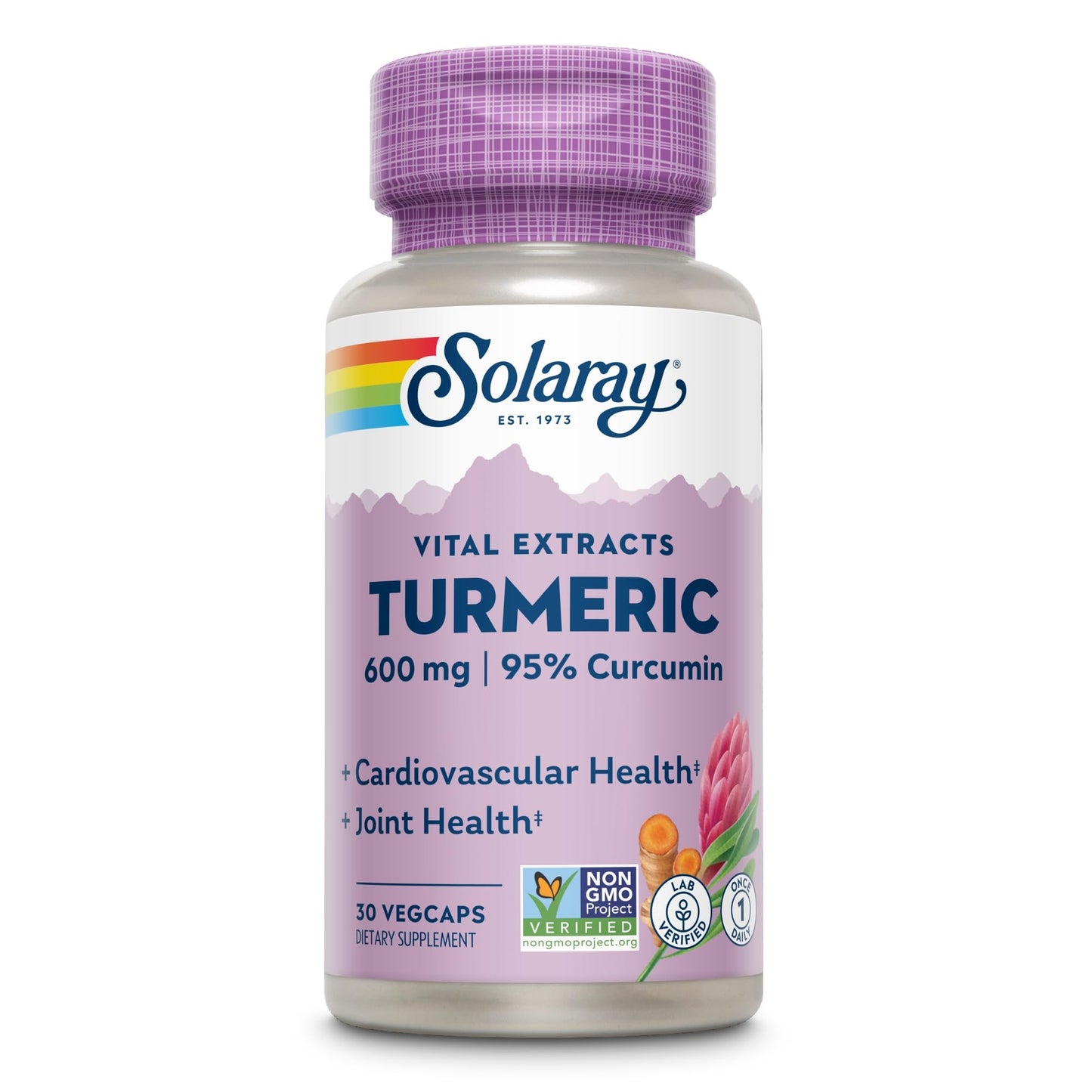 Solaray Turmeric One Daily Capsules 1 Count