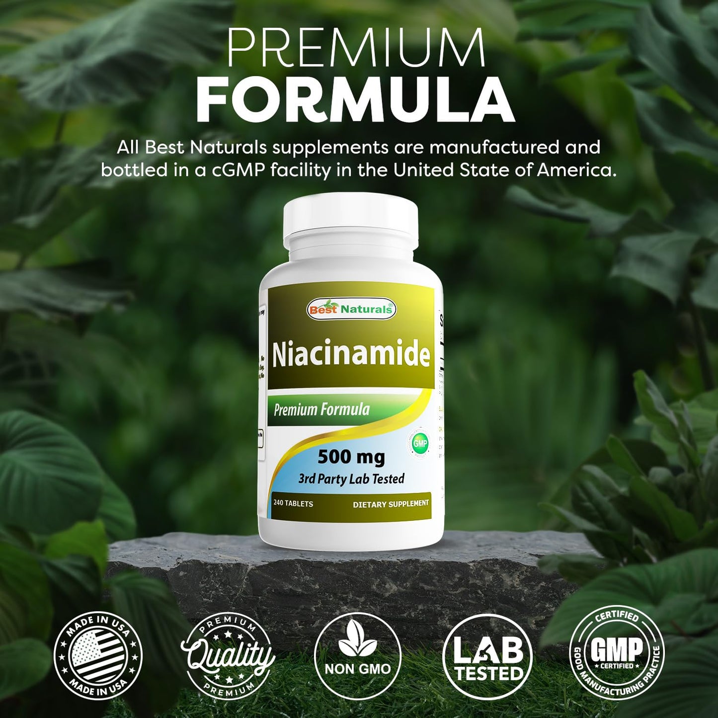 Best Naturals Niacinamide 500mg Tablets 240