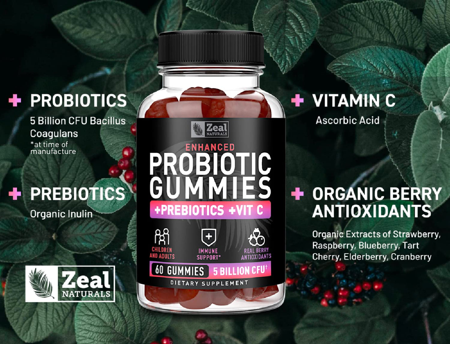 Zeal Naturals Probiotic Gummies for Adults and Kids Gummy 60 Count