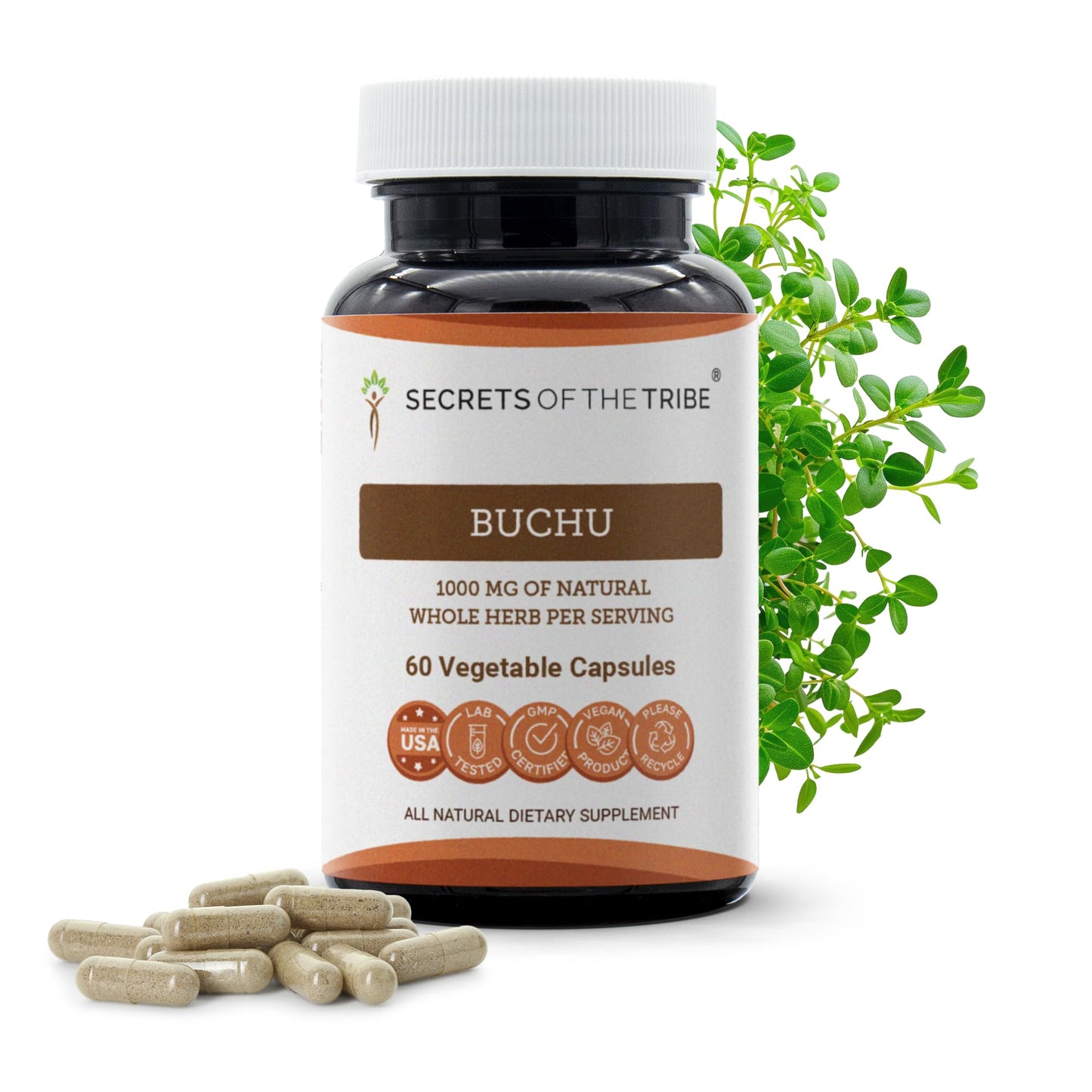 Secrets of the Tribe Buchu Capsules 60 Count