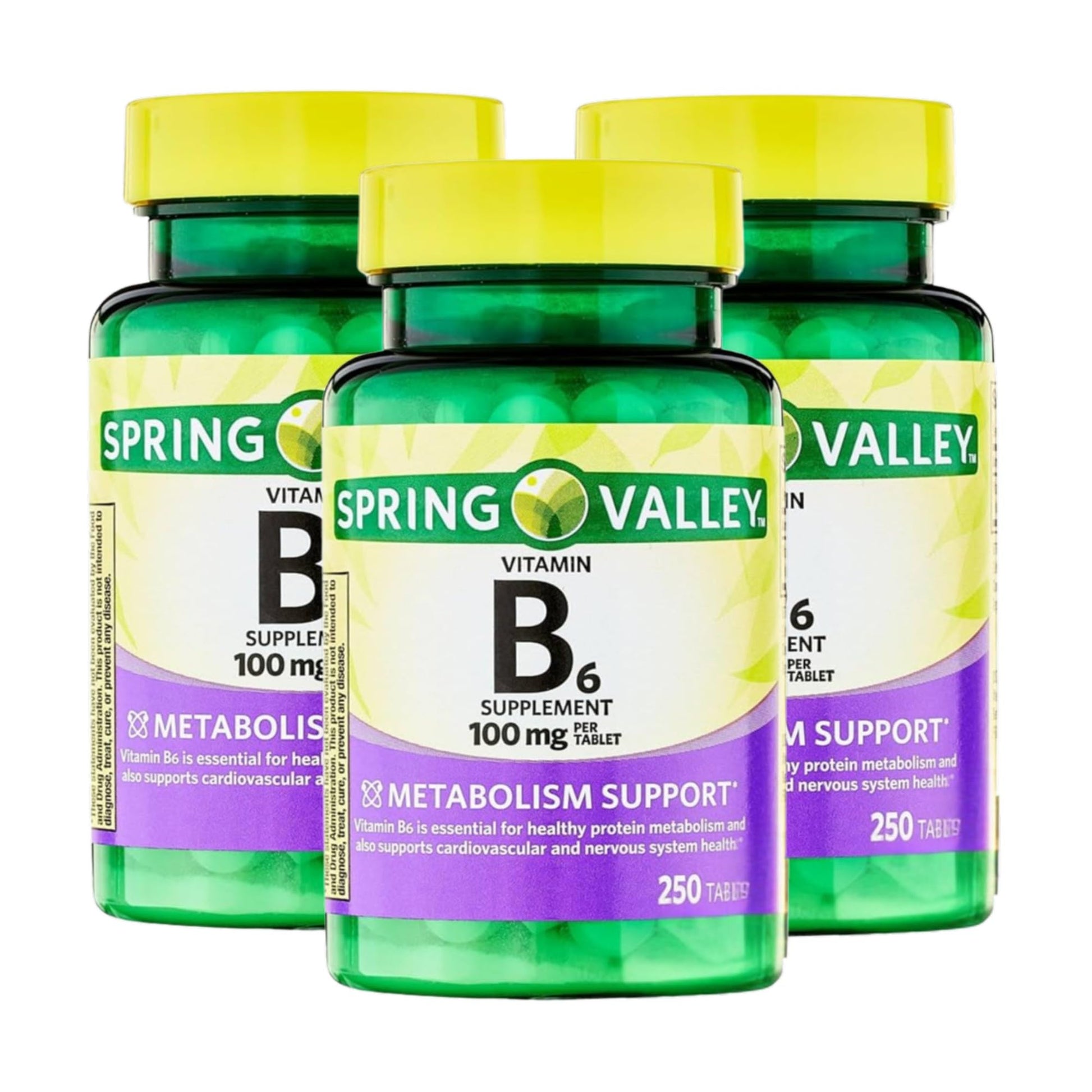 Unique Bundle Store Vitamin B6 100mg Tablets 750