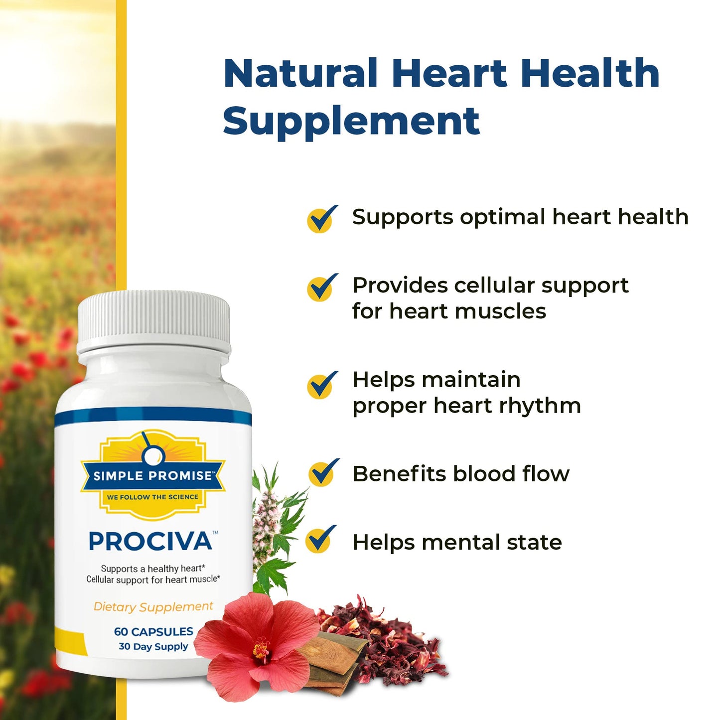 Simple Promise Prociva Arjuna Bark Extract Heart Health Supplement Capsule, 60 Count