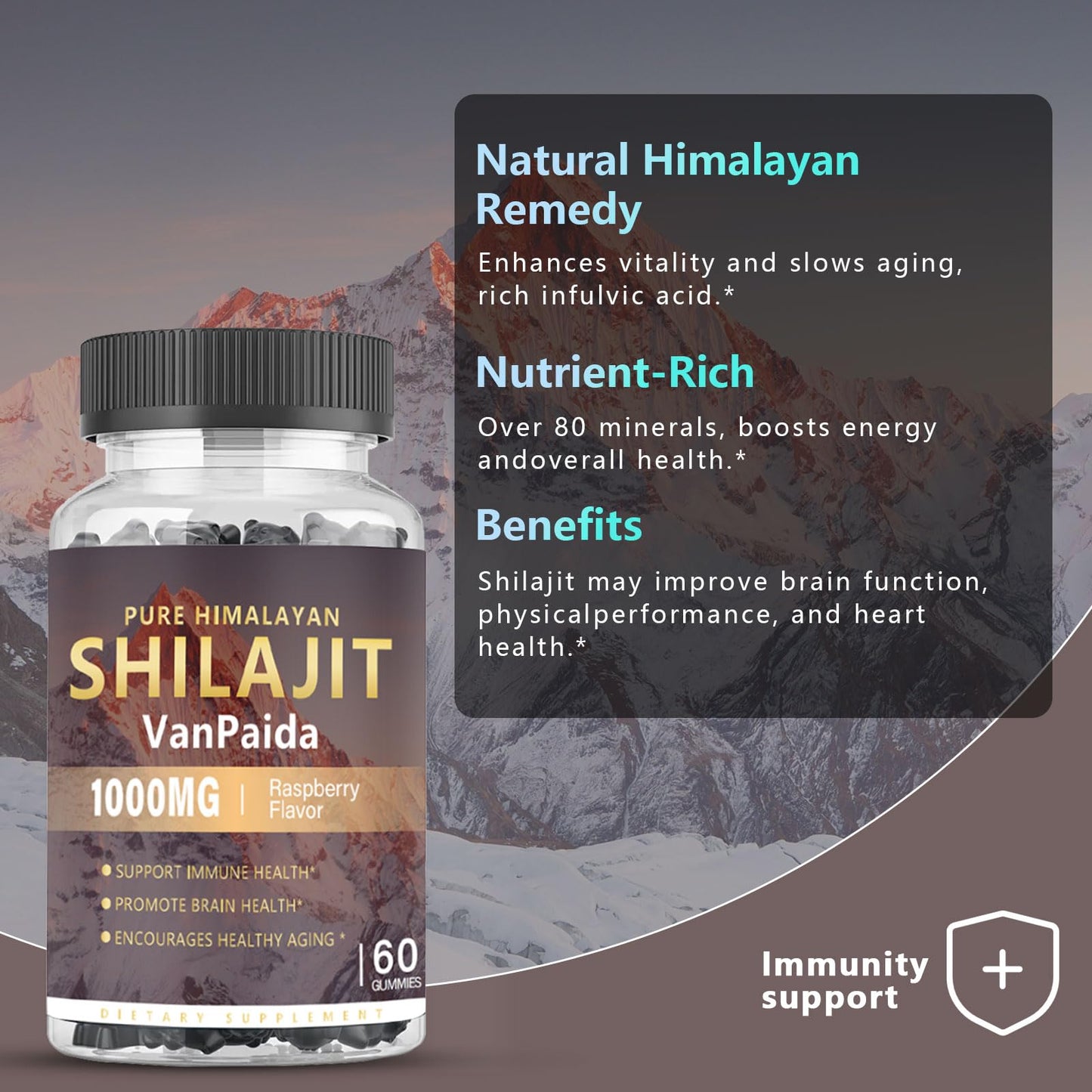 Van Paida Sugar Free Shilajit 60 Gummies