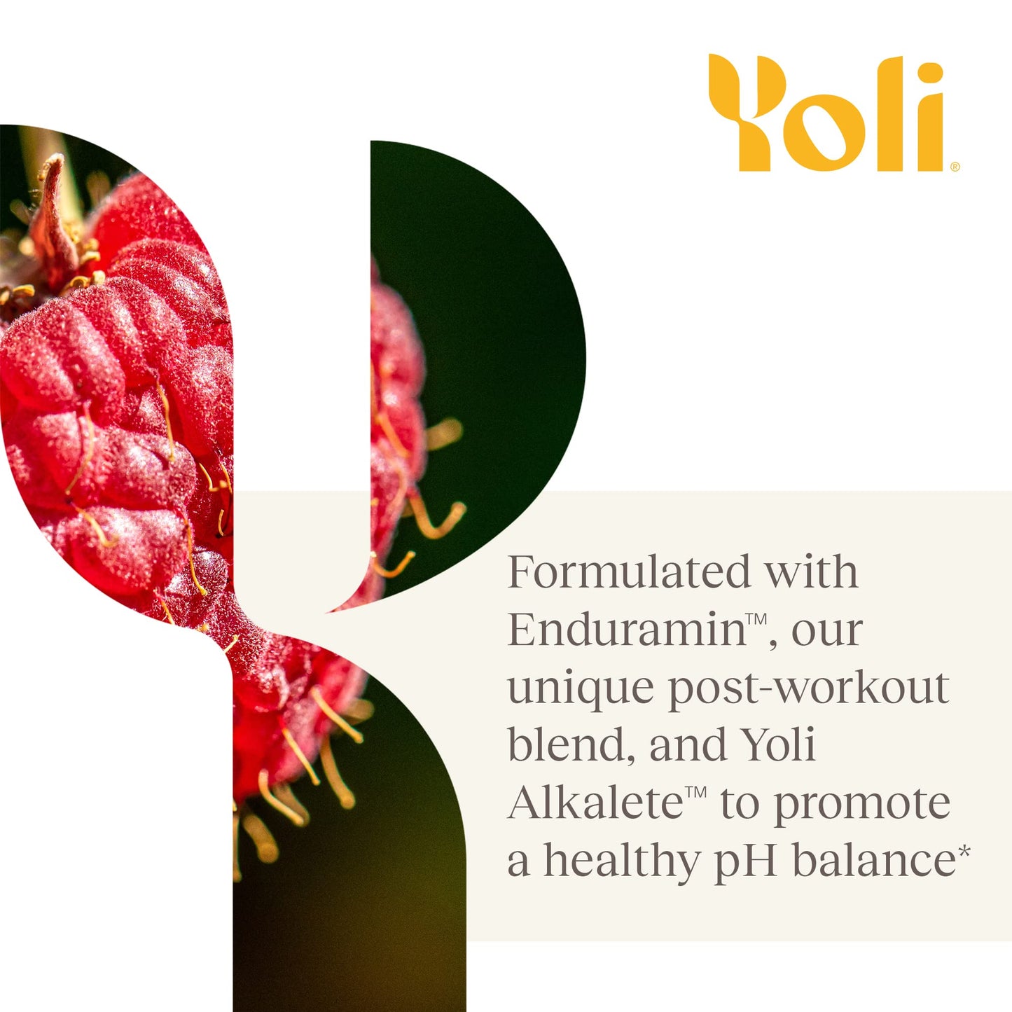 Yoli Electrolyte Powder Packets, Alkalete Blend, 4.7 Ounce Pack of 1