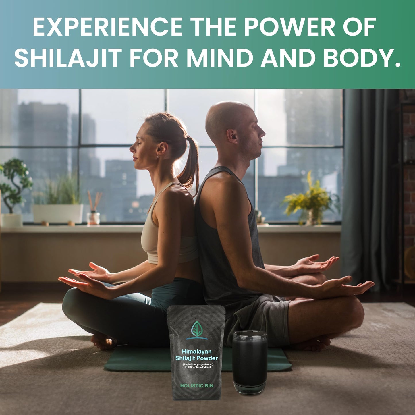 Holistic Bin Raw Himalayan Shilajit Powder 0.8818 Ounce
