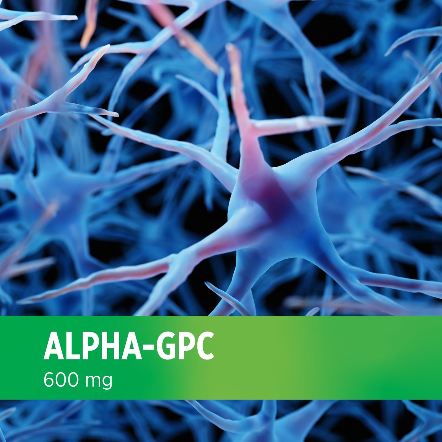 DOCTORS' PREFERRED Alpha GPC Supplement - Premium Formula Capsules 60